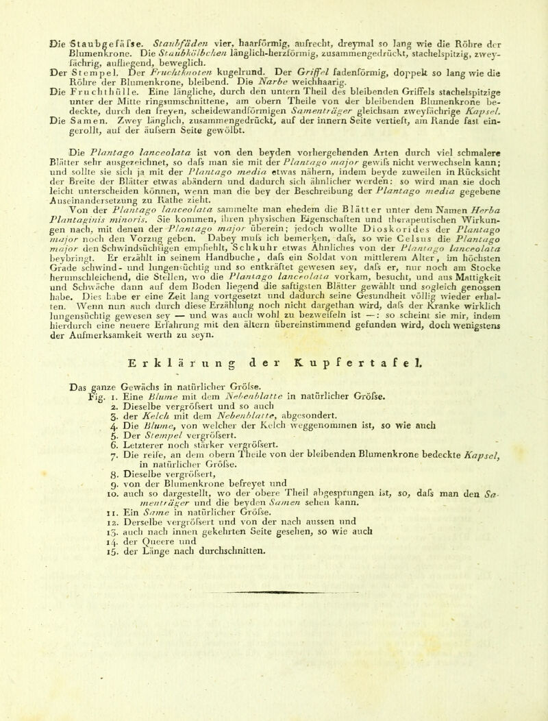 Die Staubgefäfse. Staubfäden vier, haarförmig, aufrecht, dreymal so lang wie die Röhre der Blumenkrone. Die Staubkölbchen länglich-herzförmig, zusammengedrückt, stachelspitzig, zwey- fächrig, aufliegend, beweglich. Der Stempel. Der Fruchtknoten kugelrund. Der Griffel fadenförmig, doppelt so lang wie die Röhre der Blumenkrone, bleibend. Die Narbe weichhaarig. Die Fruchthülle. Eine längliche, durch den untern Theil des bleibenden Griffels stachelspitzige unter der Mitte ringsumsennittene, am obern Theile von der bleibenden Blumenkrone be- deckte, durch den freyen, scheidewandförmigen Sarnenträger gleichsam zweyfächrige Kapsel. Die Samen. Zwey länglich, zusammengedrückt, auf der innern Seite vertieft, am Rande fast ein- gerollt, auf der äufsern Seite gewölbt. Die Plantago lanceolata ist von den beyden vorhergehenden Arten durch viel schmalere Blätter sehr ausgezeichnet, so dafs man sie mit der Plantago major gewifs nicht verwechseln kann; und sollte sie sich ja mit der Plantago tnedia etwas nähern, indem beyde zuweilen in Rücksicht der Breite der Blätter etwas abändern und dadurch sich ähnlicher werden: so wird man sie doch leicht unterscheiden können, wenn man die bey der Beschreibung der Plantago media gegebene Auseinandersetzung zu Rathe zieht. Von der Plantago lanceolata sammelte man ehedem die Blätter unter dem Namen Herba Plantaginis minoris. Sie kommen, ihren physischen Eigenschaften und therapeutischen Wirkun- gen nach, mit denen der Plantago major überein; jedoch wollte Dioskorides der Plantago major noch den Vorzug geben. Dabey mufs ich bemerken, dafs, so wie Celsus die Plantago major den Schwindsüchtigen empfiehlt, Schkuhr etwas Ähnliches von der Plantago lanceolata beybringt. Er erzählt in seinem Handbuche, dafs ein Soldat von mittlerem Alter, im höchsten Grade schwind- und lungernüchtig und so entkräftet gewesen sey, dafs er, nur noch am Stocke herumschleichend, die Stellen, wo die Plantago lanceolata vorkam, besucht, und aus Mattigkeit und Schwäche dann auf dem Boden liegend die saftigsten Blätter gewählt und sogleich genossen habe. Dies habe er eine Zeit lang vortgesetzt und dadurch seine Gesundheit völlig wieder erhal- ten. Wenn nun auch durch diese Erzählung noch nicht dargethan wird, dafs der Kranke wirklich lungensüchtig gewesen sey — und was auch wohl zu bezweifeln ist —: so scheint sie mir, indem hierdurch eine neuere Erfahrung mit den ältern übereinstimmend gefunden wird, doch wenigstens der Aufmerksamkeit werth zu seyn. Erklärung der Kupfertafel. Das ganze Gewächs in natürlicher Gröfse. Fig. i. Eine Blume mit dem Nebenblatte in natürlicher Gröfse. 2. Dieselbe vergröfsert und so auch 3. der Kelch mit dem Nebenblatte, abgesondert. 4. Die Blume, von welcher der Kelch weggenommen ist, so wie auch 5- Der Stempel vergröfsert. 6. Letzterer noch stärker vergröfsert. 7. Die reife, an dem obern Theile von der bleibenden Blumenkrone bedeckte Kapsel, in natürlicher Gröfse. g. Dieselbe vergröfsert, g. von der Blumenkrone befreyet und 10. auch so dargestellt, wo der obere Theil abgesprungen ist, so, dafs man den Sa- menträger und die beyden Samen sehen kann. 11. Ein Same in natürlicher Gröfse. 12. Derselbe vergröfsert und von der nach aussen und 13. auch nach innen gekehrten Seite gesehen, so wie auch 14. der Queere und