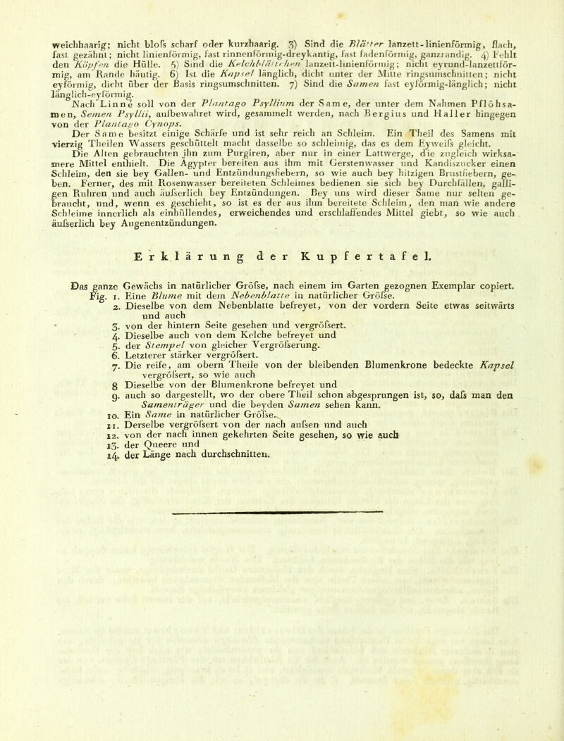 fast gezähnt; nicht linienförmig, fast rinnenförinig-dreykantig, fast fadenförmig, ganzrandig. 4) Fehlt den Köpfen die Hülle. 5) Sind die Kelchbläitrhen lanzelt-linienförmig; nicht eyrund-lanzettför- mig, am Rande häutig. 6} Ist die Kapsel länglich, dicht unter der Mitte ringsumschnitten; nicht eyförmig, dicht über der Basis ringsumschnitten. 7) Sind die Samen fast eyförmig-länglich; nicht länglich-eyförmig. Nach Lin ne soll von der Plantaeo Psyllium der Same, der unter dem Nahmen Pflöhsa- men, Semen Psyllii, aufbewahret wird, gesammelt werden, nach Bergius und Haller hingegen von der Plantaeo Cynops. Der Same besitzt einige Schärfe und ist sehr reich an Schleim. Ein Theil des Samens mit vierzig Theilen Wassers geschüttelt macht dasselbe so schleimig, das es dem Eyweifs gleicht. Die Alten gebrauchten jhn zum Purgiren, aber nur in einer Lattwerge, die zugleich wirksa- mere Mittel enthielt. Die Ägypter bereiten aus ihm mit Gerstenwasser und Kandiszucker einen Schleim, den sie bey Gallen- und Entzündungsfiebern, so wie auch bey hitzigen Brustfiebern, ge- ben. Ferner, des mit Rosenwasser bereiteten Schleimes bedienen sie sich bey Durchfällen, galli- fen Rühren und auch äufserlich bey Entzündungen. Bey uns wird dieser Same nur selten ge- raucht, und, wenn es geschieht, so ist es der aus ihm bereitete Schleim, den man wie andere Schleime innerlich als einhüllendes, erweichendes und erschlaffendes Mittel giebt, so wie auch äufserlich bey Augenentzündungen. Erklärung der Kupfertafel. Das ganze Gewächs in natürlicher Größe, nach einem im Garten gezognen Exemplar copiert. Fig. 1. Eine Blume mit dein Nebenblatte in natürlicher Größe. 2. Dieselbe von dem Nebenblatte befreyet, von der vordem Seite etwas seitwärts und auch 3. von der hintern Seite gesehen und vergrößert. 4. Dieselbe auch von dem Kelche befreyet und 5. der Stempel von gleicher Vergrößerung. 6. Letzterer stärker vergrößert. 7. Die reife, am obern Theile von der bleibenden Blumenkrone bedeckte Kapsel vergrößert, so wie auch 8 Dieselbe von der Blumenkrone befreyet und g. auch so dargestellt, wo der obere Theil schon abgesprungen ist, so, dafs man den Samenträger und die beyden Samen sehen kann. 10. Ein Same in natürlicher Gröfse-v. 11. Derselbe vergrößert von der nach außen und auch 12. von der nach innen gekehrten Seite gesehen, so wie auch 13. der Queere und