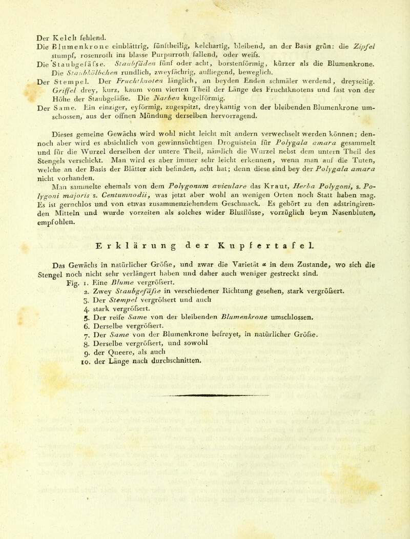 Der Kelch fehlend. Die Elumenkrone einblättrig, fünftheilig, kelchartig, bleibend, an der Basis grün: die Zipfel stumpf, rosenroth ins blasse Purpurroth fallend, oder weifs. Die *S taubgefä fs e. Staubfäden fünf oder acht, borstenförmig, kürzer als die Blumenkrone. Die Staubkölbchen rundlich, zweyfächrig, anfliegend, beweglich. Der Stempel. Der Fruchtknoten länglich, an beyden Enden schmäler werdend, dreyseitig. Griffel drey, kurz, kaum vom vierten Theil der Länge des Fruchtknotens und fast von der Höhe der Siaubgefäfse. Die Narben kugelförmig. Der Same. Ein einziger, eyförmig, zugespitzt, dreykantig von der bleibenden Blumenkrone um- schossen, aus der offnen Mündung derselben hervorragend. Dieses gemeine Gewächs wird wohl nicht leicht mit andern verwechselt werden können; den- noch aber wird es absichtlich von gewinnsüchtigen Droguistein für Polygala amara gesammelt und für die Wurzel derselben der untere Theil, nämlich die Wurzel nebst dem untern Theil des Stendels verschickt. Man wird es aber immer sehr leicht erkennen, wenn man auf die Tuten, welche an der Basis der Blätter sich befinden, acht hat; denn diese sind bey der Polygala amara nicht vorhanden. Man sammelte ehemals von dem Polygonum aviculare das Kraut, Herba Polygoni, s. Po- lygoni majoris s. Centumnodii, was jetzt aber wohl an wenigen Orten noch Statt haben mag. Es ist geruchlos und von etwas zusammenziehendem Geschmack- Es gehört zu den adstringiren- den Mitteln und wurde vorzeiten als solches wider Blutflüsse, vorzüglich beym Nasenbluten, empfohlen. Erklärung der Kupfertafel. Das Gewächs in natürlicher Gröfse, und zwar die Varietät * in dem Zustande, wo sich die Stengel noch nicht sehr verlängert haben und daher auch weniger gestreckt sind. Fig. i. Eine Blume vergröfsert. 2. Zwey Staubgefäfse in verschiedener Richtung gesehen, stark vergröfsert. 3. Der Stempel vergröbert und auch 4. stark vergröfsert. 5. Der reife Same von der bleibenden Blumenkrone umschlossen. 6. Derselbe vergröfsert. 7. Der Same von der Blumenkrone befreyet, in natürlicher Gröfse. 3. Derselbe vergröfsert, und sowohl g. der Queere, als auch