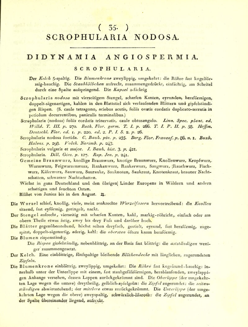 ( 35- ) SCROPHULARIA NODOSA. DIDTNAMIA ANGIOSPEEMIA, SCROPHULARIA. 0er Kelch 5-spaltig. Die Blumenhrone zweylippig, umgekehrt: die Röhre fast kugelför- mig-bauchig. Die Staubkolbchen aufrecht, zusammengedrürckt, einfächrig, am Scheitel durch eine Spalte aufspringend. Die Kapsel z-fächrig Scrophularia nodosa mit vierseitigem Stengel, scharfen Kanten, eyrundent, herzförmigen, doppelt-sägenartigen, kahlen in den Blattstiel sich verlaufenden Blättern und gipfelständi- gen Rispen. (S. caule tetragono, aciebus acutis, foliis ovatis cordatis duplicato-serratis in petiolum decurrentibus, paniculis terminalibus.) Scrophularia (nodosa) foliis cordatis trinervatis, caule obtusangulo-. Linn. Spec. plant, ed. Willd. T. III. p. 270. Roth. Flor. germ. T. I. p. 266. T. I. P. II. p. 58* Hojfm. Deutschi. Flor. ed. r. p. 220. ed. 2. P. I. S. 2. p. 26. Scrophularia nodosa foetida. C. Bauh. pin. p. 235• Berg. Flor. Franeof. p, 86» n. 1. Buxb» Halens, p. 298- Volch. Norimb. p. 2\% Scrophularia vulgaris et major. J. Bauh, hist. 3. p~. l\2l. Scrophularia. Dill. Gries, p. 127. Rup. Jen. p. 2l\\. Gemeine Braunwurz, knollige Braunwurz, knotige Braunwurz, Knollenwurz, Kropfwurz,. Wurmwurz, Feigwarzenwurz) Rankenwurz, Rankerwurz, Saugwurz, (Rauch wurz, Fisch- wurz, Käferwurz, Sauwurz, Sauranke, Sauknoten, Saukraut, Knotenkraut, brauner Nacht- schatten, schwarzer Nachtschatten. Wächst in ganz Deutschland und den übrigen] Länder Europens in Wäldern und andern schattigen und feuchten Orten. Blühet von Junius bis in den August. 2f.. Die Wurzel schief,., knollig, viele, meist senkrechte Wurzelfasern hervortreibend: die Knollen sitzend, fast eyförmig, geringelt, nackt. Der Stengel aufrecht r vierseitig mit scharfen Kanten, kahl, markig - röhricht,, einfach oder am obern Theile etwas ästig, zwey bis drey Fufs und darüber hoch. Die Blätter gegenüberstehend, höchst selten dreyfach, gestielt, eyrund, fast herzförmig,, zuge- spitzt, doppelt-sägenartig, aderig, kahl: die obersten öfters kaum herzförmige Die Blumen rispenständig. Die Rispen gipfelständig,, nebenblättrig, an der Basis fast blättrig: die astständigen weni- ger zusammengesetzt. Der Kelch- Eine einblättrige, funfspaltige bleibende BliithendecJie mit länglichen, zugerundeten Zipfeln. Die Blumenkrone einblättrig, zweylippig, umgekehrt: Die Röhre fast kugelrund-bauchig: in- nerhalb unter der Unterlippe mit einem, fast staubgefäfsförmigen, herablaufenden, zweylappi- gen Anhänge versehen, dessen Lappen zurückgekrümmt sind. Die Oberlippe (der umgekehr- ten Lage wegen die untere) dreytheilig, gelblich-apfelgrün: die Zipfel zugerundet: die seiten- ständigen abwärtsstehend; der mittlere etwas zurückgekrümmt. Die Unterlippe (der umge- kehrten Lage wegen die obere) zweyspahig, schwärzlich-lilarolh: die Zipfel zugerundet, an der Spalte übereinander liegend, aufrecht.