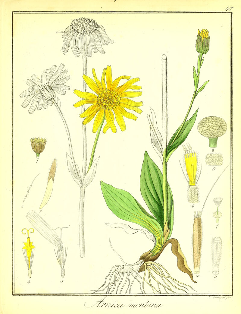 No text description is available for this image