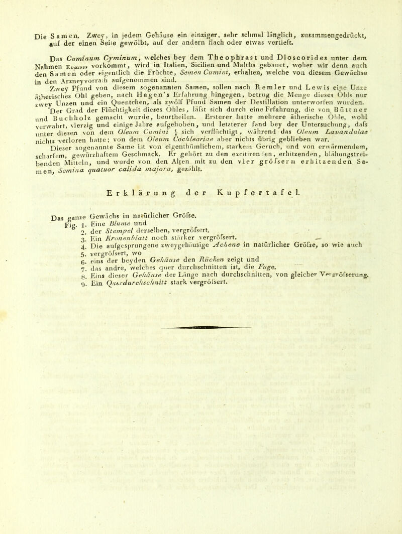 Die Samen. Zwey, in jedem Gehäuse ein einziger, »ehr schmal länglich, zusammengedrückt, auf der einen Seite gewölbt, auf der andern flach oder etwas vertieft. Das Cuminurn Cyminum, welches bey dem Theophrast und Dioscorides unter dem Nahmen Kyttj»«» vorkommt, wird in Italien, Sicilien und Maltha gebanet, woher wir denn auch den Samen oder eigentlicli die Früchte, Semen Curnini, erhalten, welche von diesem Gewächse in den Arzneyvorradi aufgenoinmen sind. Zwey Pfund von diesem sogenannten Samen, sollen nach Remler und Lewis eine Unze ätherisches Öhl geben, nacli Hagen’s Erfahrung hingegen, betrug die Menge dieses Ohls nur iwev Unzen und ein Quentchen, als zwölf Pfund Samen der Destillation unterworfen wurden. Der Grad der Flüchtigkeit dieses Öliles, läfst sich durch eine Erfahrung, die von Büttner und Buchholz gemaciu wurde, beiirthc-ilen. Ersterer halte mehrere ätherische Ohle, wohl verwahrt, \ierzig und einige Jahre aufgehoben, und letzterer fand bey der Untersuchung, dafs unter diesen von dem Oleum Curnini ^ sich verflüchtigt, während das Oleum Lavandulae nichts verloren hatte; von dem Oleum Cochleariae aber nichts übrig geblieben war. Dieser so^mnannle Same ist von eigenthümlichem, starkem Geruch, und von erwärmendem, scharfem, gewiuzhaftein Geschmack. Er gehört zu den excitiren (en, erhitzenden, blähungstrei- benden Mitteln, und wurde von den Alfen mit zu den vier gröfseru erhitzenden Sa- men, Setnina quaCiior calida uiajora, gezählt. Erklärung der Kupfertafel. Das ganze Gewächs in natürlicher Gröfse. pig. 1. Eine Blume und ° 2. der Stempel derselben, vergröfsert. 3. Ein Kronenhlatt noch stärker vergröfsert. 4. Die aufgesprungene zweygehäuslge Achene in natürlicher Gröfse, so -wie auch 5. vergröfsert, wo 0. eins der beyden Gehäuse den Rüchen zeigt und 7. das andre, weiches quer durchschnitten ist, die Fuge:. 8. Eins dieser Gehäuse der Länge nach durchschnitten, von gleicher V^Tgrröfserung.