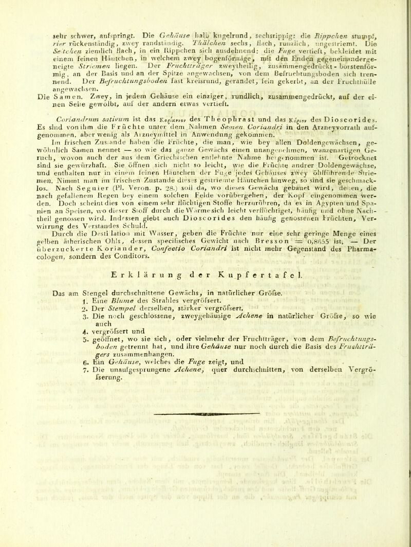 sehr schwer, anfspringt. Die Gehäuse l)alb kugelrund, seclisrippig: die Bippchetz sfuvipJ, 7/Vr rückenständig, zwey randstandig. Thälchen sechs, flach, runziicli, ungesiriemt. Die Setchen ziemlich flach, in ein flippchen sich ausdehnend: die Fuge vertieft, bekleidet mit einem feinen Häutchen, in weichem zwey bogenförmige, mit den Enden gegeneinanderge- neigte Striemen liegen. Der Fruchtträger zvveylheilig, zusa'mmengedrückt - boistenför- mig, an der Basis und an der Spitze angewnehsen, von dem Befrurlitungsboden sich tren- nend. Der Befruchtungshoden fast kreisrund, gerandet, fein gekerbt, an der Eruciithiille angewachsen. Die Samen. Zwey, in jedem Gehäuse ein einziger, rundlich, zusammengedrückt, auf der ei- nen Seite gewölbt, auf der andern etwas vertieft. Coriandruin sativum ist das des Theophrast und das des D i osc o r i d e s. Es sind von ihm die Früchte unter dem ,]\'alimen Senie/z Coriazidri in den Arzrieyvorrath auf- genommen. aber wenig als A)zneymittel in Anwendung gekommen. Im frischen Zus.ande halien die Erüclite, die man, wie bey allen Doldengewächsen, ge- wöhnlich Samen nennet — so wie das ganze Gewächs einen unangenehmen, wanzenartigen Ge- ruch, wovon auch der aus dem Grieduschen entlehnte Nähme hei ge nommen ist. Getrocknet sind sie gewürzhaft. Sie öflnen sich nicht so leicht, wie die FiücJiie andrer Doldengewächse, und enthalten nur in einem leinen Häutclien der Enge jedes Gehäuses zsVey ölilführemle Strie- men. Nimmt man irn irischen Zustande dieses geslriemie Häutchen hinweg, so sind sie geschmack- los. Nacli Seg liier (1*1. Veron. p. 28.) soil da, wo dieses Gewächs gebauet wdril, denen, die nach gefallenem Regen bey einem solchen Felde vorübergehen, der Kopf eingenommen wer- den. Doch scheint dies von einem sehr flüchtigen Stoffe herzurühren, da es in Ägypten und Spa- nien an Speisen, wo dieser Sioff durch die Warme sich leicht verfliiclitiget, häufig und ohne Nacli- theil genossen wird. Indessen giebt auch Dioscorides den häufig genossenen Früchten, Ver- wirrung des Verstandes Schuld. Durch die Desli lation mit Wasser, geben die Früciite nur eine sehr geringe Menge eines gelben ätherischen Ohls, dessen specifisclies Gewicht nach Rresson = 0,8655 ist, — Der überzuckerte Koriander, Confectio Coriandri ist nicht mehr Gegenstand des Pharma- cologen, sondern des Conditors. Erklärung der Kupfertafel. Das am Stengel durchschnittene Gewächs, in natürlicher Gröfse. 1. Eine Blume des Strahles vergröfsert. 0. Der Stempel derselben, stärker vergröfsert. 3. Die noch geschlossene, zweygehäusige ylchene in natürlicher Gröfse, so wie auch 4- vergröfsert und 5. geöffnet, wo sie sich, oder vielmehr der Fruchtträger, von dem Befrzichtuugs- boden getrennt hat, und Gehäuse nur noch durch die Basis des Fruehttrii- gers Zusammenhängen. 6. Ein Gehäuse, welches die Fuge zeigt, und 7. Die unaulgespiungene Achene, quer durchschnitten, von derselben Vergrö- fserung.