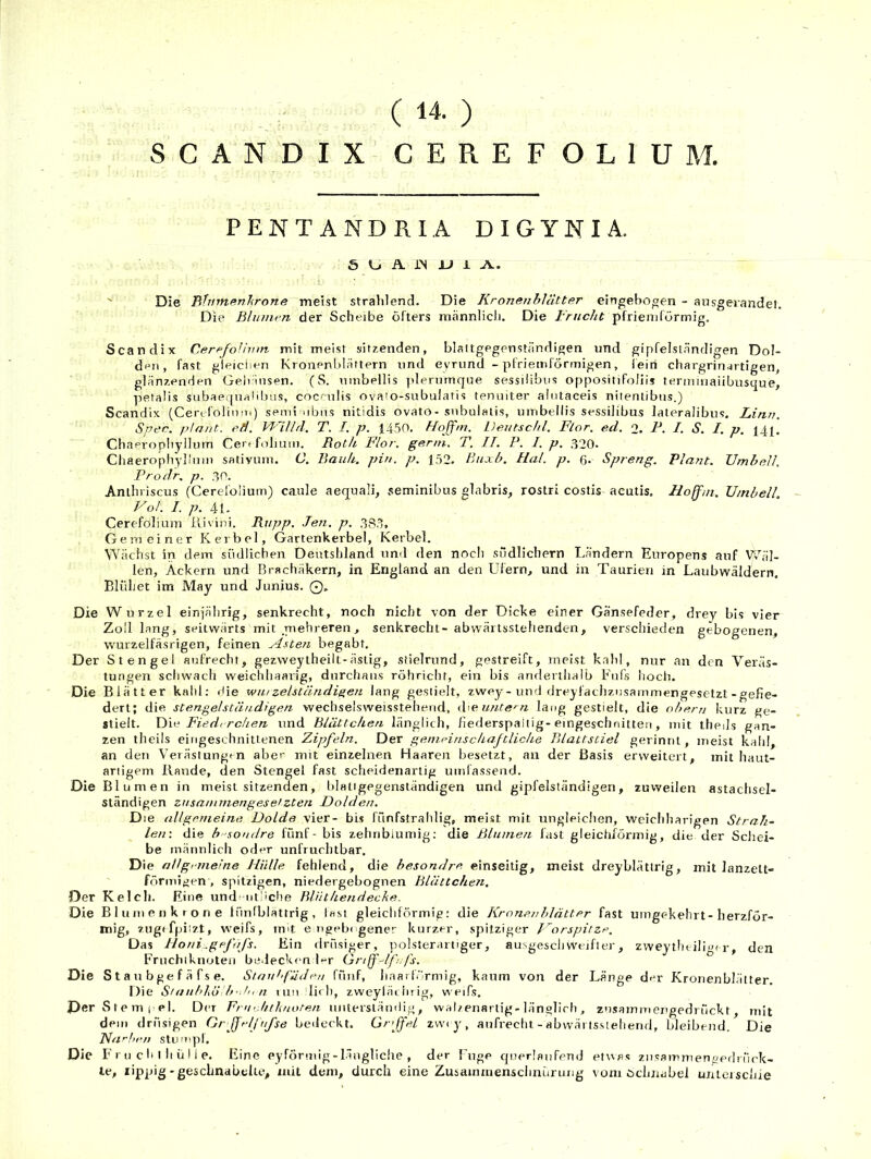 ( ) S C A N D I X CEREFOLIUM. PENTANDRIA DIGYNIA. 5 A IN JJ 1 Ak.. Die Bhimfifnhrone meist strahlend. Die KronenbUitter eingeboren - ansgerandel. Die Blumen der Scheibe öfters männlicli. Die Irncht pfrienifürmig. Scandix Cerefolhtm mit meist sitzenden, blaltgegenständiren und gipfelslnndigen Dol- den, fast gleiclien Kronenblättern und evrund - pfrieml'örmigen, leiri chargrin^rtigen, glänzenden Gelriiisen. (S. umbellis plerumque sessilibiis oppositifoliis termmaiibusque, petalis sLibaeqiialibiis, coc'-ulis ovaio-subulatis tenuiter alntaceis nitentibus.) Scandix (Cercfolinm) send iibiis nitidis ovato- snbulatis, umbellis sessilibus laleralibus. Linn. Spec. plant., ed. PT'lUd. T. I. p. 1450. Hojfm. Deutschi. Flor. ed. 2. F. I. S. I. p. i4j[. Chaerophyllum Cei«folimn. Roth Flor. germ. T. II. P. I. p. 320* Chaerophyllnin sativum. C. Bank. pin. p. 152. Buxh. Hai. p. ß. Spreng. Plant. Umbell. Prodr, p. 30. Anthriscus (Cerefolium) caule aequali, seminibus glabris, rostri costis acutis. Hoffm. Umbell. Vol. I. p. 4t. Cerefolium liivini. Rupp. Jett. p. 383. Gemeiner Kerbel, Gartenkerbel, Kerbel. VYächst in dem südlichen Deutshland und den noch südlichem Ländern Europens auf Wäl- len, Äckern und Brachäkern, in England an den Ufern, und in Taurien in Laubwäldern. Blühet im May und Junius. Q. Die Wurzel einjährig, senkrecht, noch nicht von der Dicke einer Gänsefeder, drey bis vier Zoll lang, seitwärts mit mehreren, senkrecht- abwärtsslehenden, verscliieden gebogenen, wurzelfäsrigen, feinen jä-tten begabt. Der Stengel aufrecht, gezweytheilt-ästig, stielrund, gestreift, meist kahl, nur an den Veräs- tungen schwach weichhaarig, durchaus röhricht, ein bis anderthalb Fufs hoch. Die Blätter kahl; i!ie wurzelstätidi^en lang gestielt, zwey-und dreyfachzusammengesetzt-gefie- dert; die stengelständigen wechselsweisstehend, the unte'-n lang gestielt, die oheru kurz ge- stielt. Fiedi rohen und Blättchen länglich, fiederspaltig-eingeschnitten, mit theds gan- zen theils eingeschnittenen Zipfeln. Der genieinschaftliche Blattstiel gerinnt, meist kahl, an den Verästungm aber mit einzelnen Haaren besetzt, an der Basis erweitert, mit haut- artigem Rande, den Stengel fast scheidenarlig umlässend. Die Blumen in meist sitzenden, blatigegenständigen und gipfelständigen, zuweilen astachsel- ständigen zusninrnengeseizten Dolden. Die allgemeine Dolde vier- bis fünfstralilig, meist mit ungleichen, weichharigen Strah- len: die b'-somlre fünf - bis zehriblumig: die Blumen fast gleichförmig, die der Schei- be männlich oder unfruchtbar. Die allgemeine Hülle fehlend, die besondre einseitig, meist dreyblättrig, mit lanzett- förmigen , spitzigen, niedergebognen Blättchen, Der Kelch. Eine undnntliche Blüthendecke. Die Blumen kröne lünfblattrig, last gleichförmig: die Krone?; blätter fast umgekehrt-herzför- mig, zugefpiizt, weifs, mit e ngebi gener kurzer, spitziger l^orspitze. Das Honi.gefnfs. Ein drüsiger, polsterartiger, ausgeschweifter, zweytheiligi r, den Fruchtknoten belecken 1-r Grtjfr-lf.fs. Die S t a u b g e f ä f s e. Slaulfäden fünf, haai f/irmig, kaum von der Länge der Kronenblätter. Die Stauhhl) b’th, ?i um li< li, zweylätiuig, weifs. Der Stern (pI. Der Frii'.hth?iote?i umerslämlig, wabenartig-länglich , zusammei'gedrückt , mit dem drüsigen Gr Jfelfufse bedeckt. Gr'jfei zwiy, aufrecht - abvväi tssteliend, bleibeml. Die Nachen stlimpl. Die F’r u c li I li ü 11 e. Eine eyförmig-Iäugliche , der Fugp cpierlaufeud etwas ziisammengedriirk- te, lippig-gesclinabclte, mit dem, durch eine Zusaimnenschnürung vom öchnabel uiileisclue