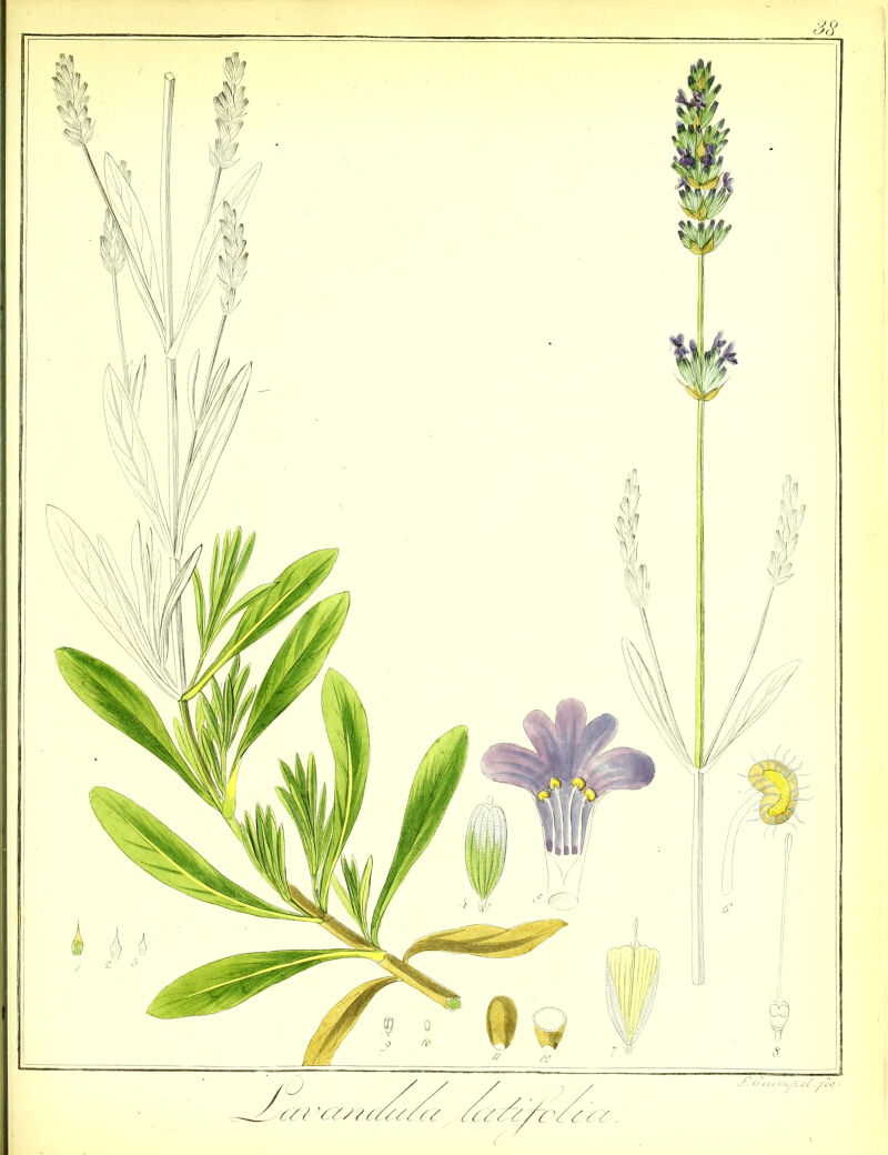 No text description is available for this image