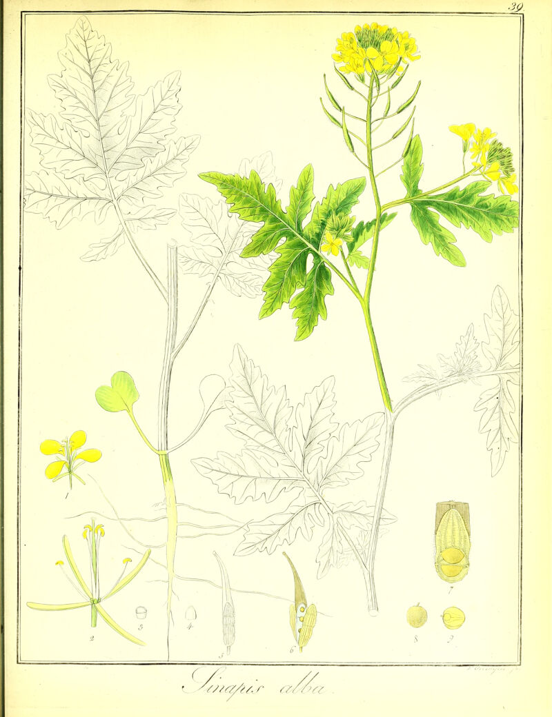 No text description is available for this image