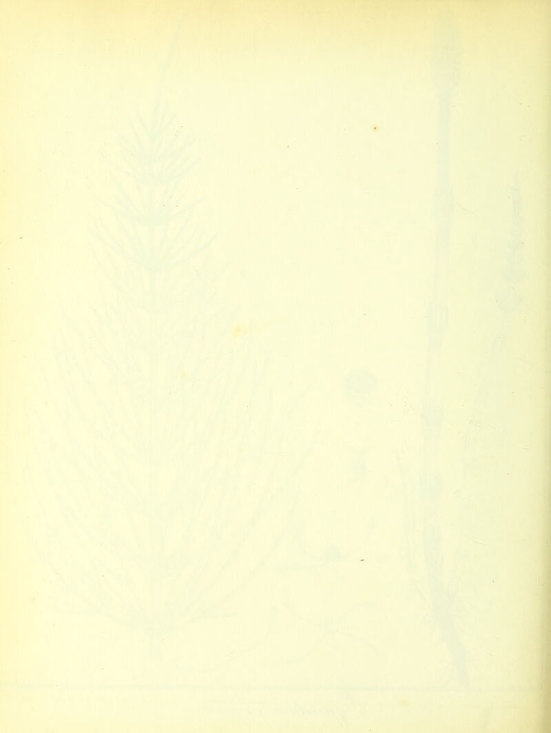 M  ' ■r^ V/ ,3: r‘