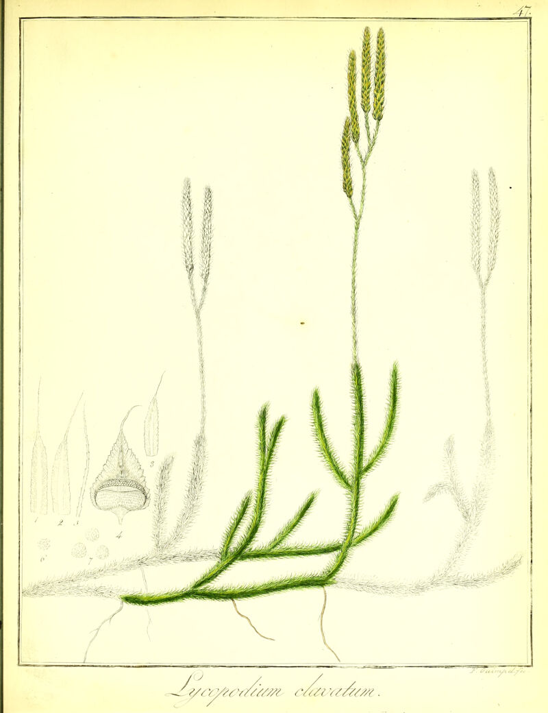 No text description is available for this image