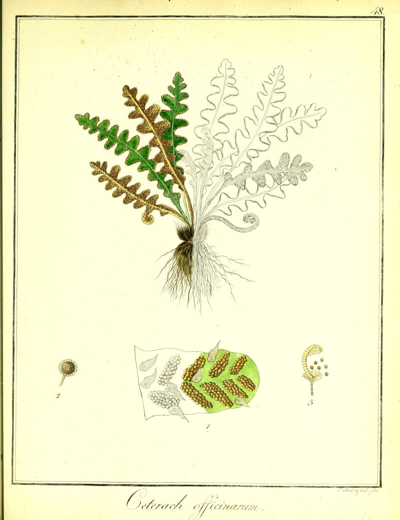 No text description is available for this image