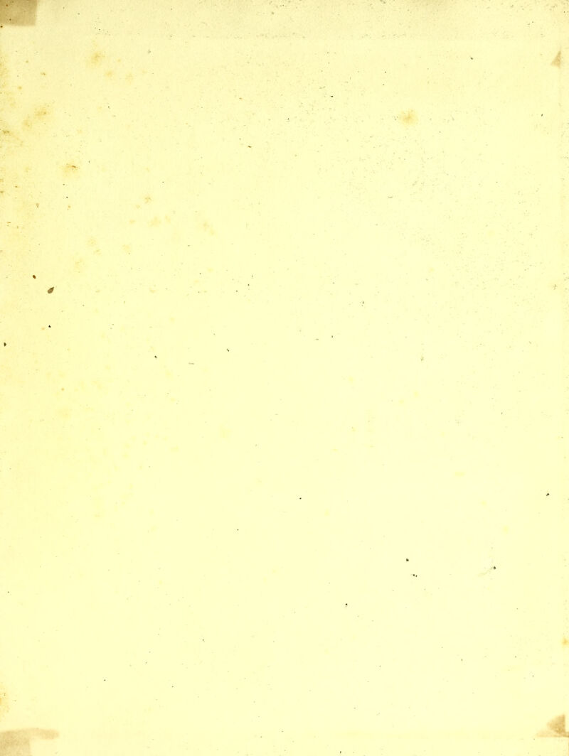 ;■ . ?- ,*k k \ r- . .s ■ * •. '• -• .• *. ^ v.'^ ' ■■ ,;:- v • ‘ . V 'i ■ f y-