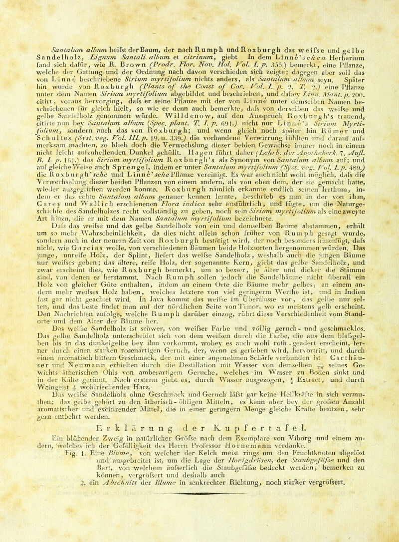 Santalum album heißt der Baum, der nachRumph undRoxburgh das weifse und gelbe Sandelholz, Lignum Santali album et citrinum, giebt In dem Linne'scbe/i Herbarium fand sich dafür, wie R. Brown (Prodr. Flor. Nov. Hol. Hol. I. p. 355.) bemerkt, eine Pflanze, welche der Gattung und der Ordnung nach davon verschieden sich zeigte; dagegen aber soll das von Linne beschriebene Sirium myrtifolinm nichts anders, als Sa/italum album seyn. Später hin wurde von Roxburgh (Plants of bhe Coast of Cor. Hol. I. p. 2. T. 2.) eine Pflanze unter dem Namen Sirium myrtifolinm abgebildet und beschrieben, und dabey Lina. Mant. p. 200. citirt, voraus hervorging, dafs er seine Pflanze mit der von Linne unter demselben Namen be- schriebenen für gleich hielt, so wie er denn auch bemerkte, dafs von derselben das weifse und gelbe Sandelholz genommen würde. Willdenow, auf den Ausspruch Roxburgh’s trauend, citirte nun bey Santalum album (Spec. plant. T. I. p. 691 ■) nicht nur Linne’s Sirium Myrti- folium, sondern auch das von Pioxburgh; und wenn gleich noch später hin Römer und Schultes (Syst. veg. Hol. III. p. 19. u. 33 9die vorhandene Verwirrung fühlten und darauf auf- merksam machten, so blieb doch die Verwechslung dieser beiden Gewächse immer noch in einem nicht leicht aufzuhellenden Dunkel gehüllt. Hagen führt daher (LeJub. der Apothekerk. 7. Aufl. B. I. p. 161.) das Sirium myrtifolinm Pioxburgh's als Synonym von Santalum album auf; und auf gleiche Weise auch Sprengel, indem er unter Santalum myrtifolinm (Syst. veg. Hol. l.p. 489J die Rox b\ir gh'sehe und L inne ’ sehe Pflanze vereinigt. Es war auch nicht wohl möglich, dafs die Verwechselung dieser beiden Pflanzen von einem andern, als von eben dem, der sie gemacht hatte, wieder ausgeglichen werden konnte. Roxburgh nämlich erkannte endlich seinen Irrthum, in- dem er das echte Santalum album genauer kennen lernte, beschrieb es nun in der von ihm, Carey und Wallich erschienenen Flora indica sehr ausführlich, und fügte, um die Naturge- schichte des Sandelholzes recht vollständig zu geben, noch sein Sirium myrtifolinm als eine zweyte Art hinzu, die er mit dem Namen Santalum myrtifolinm bezeichnete. Dafs das weifse und das gelbe Sandelholz von ein und demselben Baume abstammen, erhält um so mehr Wahrscheinlichkeit, da dies nicht allein schon früher von Ru mph gesagt wurde, sondern auch in der neuern Zeit von Roxburgh bestätigt wird, der noch besonders hinzufügt, dafs nicht, wie Garcias wolle, von verschiedenen Bäumen beide Holzsorten hergenommen würden. Das junge, unreife Holz, der Splint, liefert das weifse Sandelholz, weshalb auch die jungen Bäume nur weifses geben; das ältere, reife Holz, der sogenannte Kern, giebt das gelbe Sandelholz, und zwar erscheint dies, wie Pioxburgh bemerkt, um so besser, je älter und dicker die Stämme sind, von denen es herstammt. Nach Piumph sollen jedoch die Sandelbämne nicht überall ein Holz von gleicher Güte enthalten, indem an einem Orte die Bäume mehr gelbes, an einem an- dern mehr weifses Holz haben, welches letztere von viel geringerm Werllie ist, und in Indien fast gar nicht geachtet wird. In Java kommt das weifse im Überflüsse vor, das gelbe nur sel- ten, und das beste findet man auf der nördlichen Seite von Timor, wo es meistens gelb erscheint. Den Nachrichten zufolge, welche Piumph darüber einzog, rührt diese Verschiedenheit vom Stand- orte und dem Alter der Bäume her. Das weifse Sandelholz ist schwer, von weifser Farbe und völlig geruch- und geschmacklos. Das gelbe Sandelholz unterscheidet sich von dem weifsen durch die Farbe, die aus dem blafsgel- ben bis in das dunkelgelbe bey ihm vorkommt, wobey es auch wohl roth - geadert erscheint, fer- ner durch einen starken rosenartigen Geruch, der, wenn es gerieben wird, hervortritt, und durch einen aromatisch bittern Geschmack, der mit einer angenehmen Schärfe verbunden ist Carthäu- ser und Neumann erhielten durch die Destillation mit Wasser von demselben _rT seines Ge- wichts ätherischen Ohls von amberartigem Gerüche, welches im Wasser zu Boden sinkt und in der Kälte gerinnt. Nach ersterm giebt es, durch Wasser ausgezogen, i Extract, und durch Weingeist i wohlriechendes Harz. Das weifse Sandelholz ohne Geschmack und Geruch läfst gar keine Heilkräfte in sich vermu- then; das gelbe gehört zu den ätherisch - billigen Mitteln, es kann aber bey der grossen Anzahl aromatischer und excitirender Mittel, die in einer geringem Menge gleiche Kräfte besitzen, sehr gern entbehrt werden. Erklärung der Kupfertafel. Ein blühender Zweig in natürlicher Gröfse nach dem Exemplare von Viborg und einem an- dern, welches ich der Gefälligkeit des Herrn Professor Hornemann verdanke. Fig. 1. Eine Blume, von welcher der Kelch meist rings um den Fruchtknoten abgelöst und ausgebreitet ist, um die Lage der Honigdrüsen, der Staub gefiifse und den Bart, von welchem äufserlich die Slaubgefäfse bedeckt werden, bemerken zu können, vergröfsert und deshalb auch 2. ein Abschnitt der Blume in senkrechter Richtung, noch stärker vergröfsert.