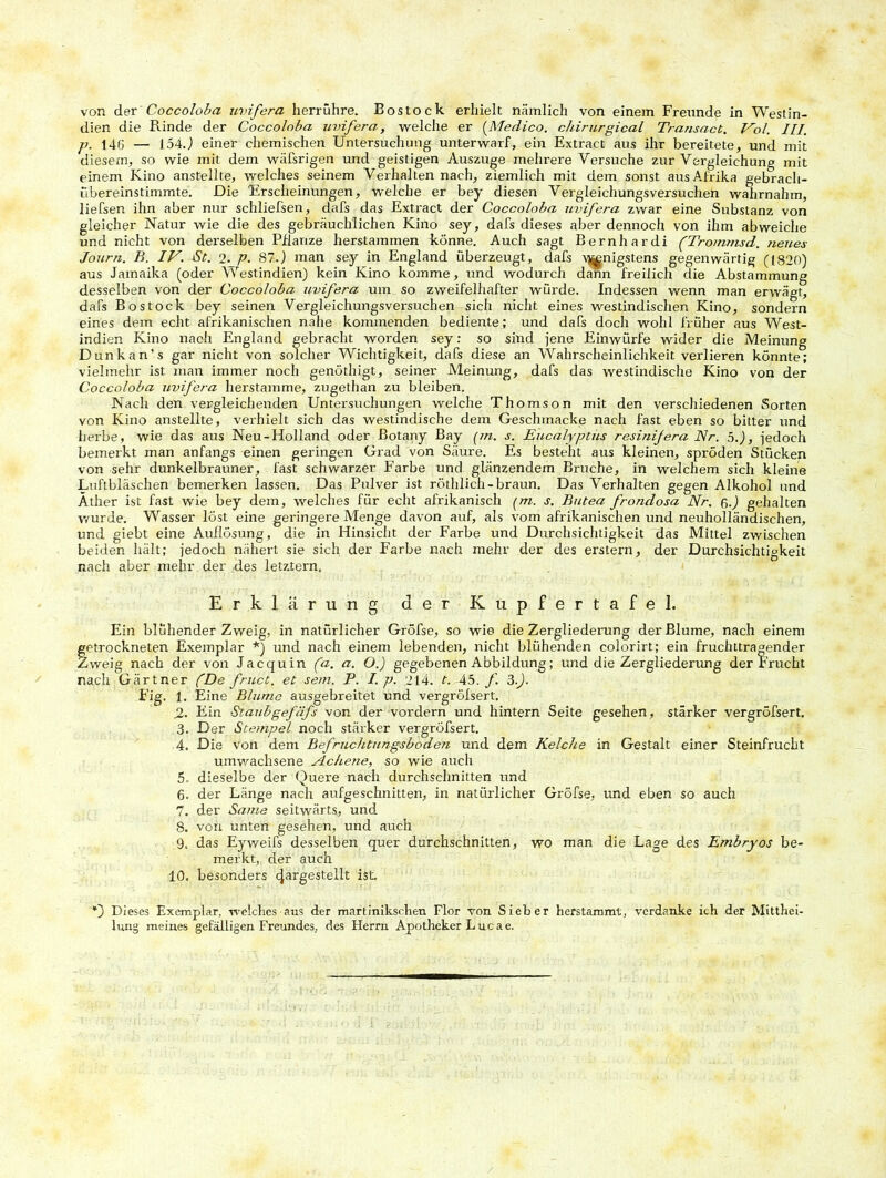 dien die Rinde der Coccoloba uvifera, welche er (Medico. chirurgical Transact. Vol. III. p. 146 — 154J einer chemischen Untersuchung unterwarf, ein Extract aus ihr bereitete, und mit diesem, so wie mit dem wäfsrigen und geistigen Auszuge mehrere Versuche zur Vergleichung mit einem Kino anstellte, welches seinem Verhalten nach, ziemlich mit dem sonst aus Afrika gebrach- übereinstimmte. Die Erscheinungen, welche er bey diesen Vergleichungsversuchen wahrnahm, liefsen ihn aber nur schließen, dafs das Extract der Coccoloba uvifera zwar eine Substanz von gleicher Natur wie die des gebräuchlichen Kino sey, dafs dieses aber dennoch von ihm abweiche und nicht von derselben Pflanze herstammen könne. Auch sagt Bernhardi (Trommsd. neues Journ. B. IV. St. 2,_p. 87.) man sey in England überzeugt, dafs t^nigstens gegenwärtig ([820) aus Jamaika (oder Westindien) kein Kino komme, und wodurch dann freilich die Abstammung desselben von der Coccoloba uvifera um so zweifelhafter würde. Indessen wenn man erwägt, dafs Bostock bey seinen Vergleichungsversuchen sich nicht eines westindischen Kino, sondern eines dem echt afrikanischen nahe kommenden bediente; und dafs doch wohl früher aus West- indien Kino nach England gebracht worden sey: so sind jene Einwürfe wider die Meinung Dunkan’s gar nicht von solcher Wichtigkeit, dafs diese an Wahrscheinlichkeit verlieren könnte; vielmehr ist man immer noch genöthigt, seiner Meinung, dafs das westindische Kino von der Coccoloba uvifera herstamme, zugethan zu bleiben. Nach den vergleichenden Untersuchungen welche Thomson mit den verschiedenen Sorten von Kino anstellte, verhielt sich das westindische dem Geschmacke nach fast eben so bitter und herbe, wie das aus Neu-Holland oder Botany Bay (;«. s. Eucalyptus resinijera Nr. 5.), jedoch bemerkt man anfangs einen geringen Grad von Säure. Es besteht aus kleinen, spröden Stücken von sehr dunkelbrauner, fast schwarzer Farbe und glänzendem Bruche, in welchem sich kleine Luftbläschen bemerken lassen. Das Pulver ist röthlich-braun. Das Verhalten gegen Alkohol und Äther ist fast wie bey dem, welches für echt afrikanisch (m. s. Butea frondosa Nr. ß.) gehalten wurde. Wasser löst eine geringere Menge davon auf, als vom afrikanischen und neuholländischen, und giebt eine Auflösung, die in Hinsicht der Farbe und Durchsichtigkeit das Mittel zwischen beiden hält; jedoch nähert sie sich der Farbe nach mehr der des erstem, der Durchsichtigkeit nach aber mehr der des letztem. Erklärung der Kupfertafel. Ein blühender Zweig, in natürlicher Gröfse, so wie die Zergliederung der Blume, nach einem getrockneten Exemplar *) und nach einem lebenden, nicht blühenden colorirt; ein fruchttragender Zweig nach der von Jacquin (a. a. O.) gegebenen Abbildung; und die Zergliederung der Frucht nach Gärtner (De fruct. et sem. P. I. p. 214. t. 45. f. ?>.). Fig. 1. Eine Blume ausgebreitet und vergrölsert. 2. Ein Staubgefäfs von der vordem und hintern Seite gesehen, stärker vergrölsert. 3. Der Stempel noch stärker vergröfsert. 4. Die von dem Befruchtungsboden und dem Kelche in Gestalt einer Steinfrucht umwachsene Achene, so wie auch 5. dieselbe der Quere nach durchschnitten und 6. der Länge nach aufgeschnitten, in natürlicher Gröfse, und eben so auch 7. der Same seitwärts, und 8. von unten gesehen, und auch 9. das Eyweifs desselben quer durchschnitten, wo man die Lage des Embryos be- merkt, der auch 10. besonders (Jargestellt ist. Dieses Exemplar, welches aus der martinikschen Flor von Sieber herstammt, verdanke ich der Mitthei- lung meines gefälligen Freundes, des Herrn Apotheker Lucae.