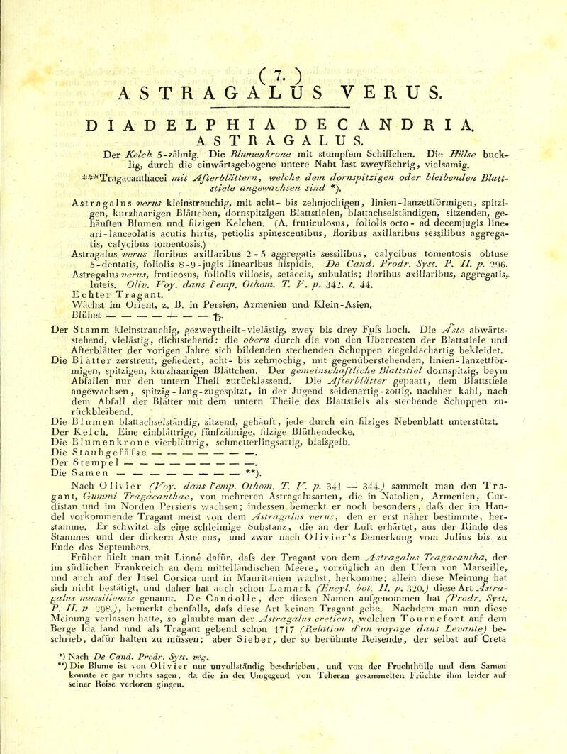 (7-) ASTRAGALUS VERUS. DIADELPHIA DECANDRIA. AST RAGALUS, Der Kelch 5-zahnig. Die Blumenkrone mit stumpfem Schiffchen. Die Hülse buck- lig, durch die einwärtsgebogene untere Naht fast zweyfächrig, vielsamig. Tragacanthacei mit Afterblattern, welche dem dornspitzigen oder bleibenden Blatt- stiele angewachsen sind *). Astragalus verus kleinstrauchig, mit acht- bis zehnteiligen, linien-lanzettförmigen, spitzi- Sen, kurzhaarigen Blättchen, dornspitzigen Blattstielen, blattachselständigen, sitzenden, ge- äuften Blumen und filzigen Kelchen. (A. fruticulosus, foliolis octo- ad decemjugis line- ari-lanceolatis acutis hirtis, petiolis spinescentibus, floribus axillaribus sessüibus aggrega- tis, calycibus tomentosis.) Astragalus verus floribus axillaribus 2-5 aggregatis sessilibus, calycibus tomentosis obtuse 5-dentatis, foliolis 8-9-jugis linearihus hispidis. De Cand. Prodr. Syst. P. II. p. 296. Astragalus verus, fruticosus, foliolis villosis, setaceis, subulatis; floribus axillaribus, aggregatis,. luteis. Oliv. Koy. dans l'emp. Othom. T. V. p. 342. t. 44. Echter Tragant. Wächst im Orient, z. B. in Persien, Armenien und Klein-Asien. Blühet — — — 1 — Der Stamm kleinstrauchig, gezweytheilt-vielästig, zwey bis drey Fufs hoch. Die Aste abwärts- stehend, vielästig, dichtstehend: die obern durch die von den Überresten der Blattstiele und Afterblätter der vorigen Jahre sich bildenden stechenden Schuppen ziegeldachartig bekleidet. Die Blätter zerstreut, gefiedert, acht- bis zehrfiochig, mit gegenüberstehenden, linien-lanzettför- migen, spitzigen, kurzhaarigen Blättchen. Der gemeinschaftliche Blattstiel dornspitzig, beym Abfallen nur den untern Theil zurücklassend. Die Afterblätter gepaart, dem Blattstiele angewachsen, spitzig - lang-zugespitzt, in der Jugend seidenartig-zottig, nachher kahl, nach dem Abfall der Blätter mit dem untern Theile des Blattstiels als stechende Schuppen zu- rückbleibend. Die Blumen blattachselständig, sitzend, gehäuft, jede durch ein filziges Nebenblatt unterstützt. Der Kelch. Eine einblättrige, fünfzähnige, filzige Blüthendecke. Die Blumenkrone vierblättrig, schmetterlingsartig, blal’sgelb. Die Staubgefäfse — — — Der Stempel — — — — —. Die Samen — — — — — — **). Nach Olivier (Koy. dans l'emp. Othom. T. Jr. p. 341 — 344.) sammelt man den Tra- gant, Gummi Tragacanthae, von mehreren Astragalusarten, die in Natolien, Armenien, Cur- distan und im Norden Persiens wachsen; indessen bemerkt er noch besonders, dafs der im Han- del vorkommende Tragant meist von dem Astragalus verus, den er erst näher bestimmte, her- stamme. Er schwitzt als eine schleimige Substanz, die an der Luft erhärtet, aus der Rinde des Stammes und der dickem Aste aus, und zwar nach Olivier’s Bemerkung vom Julius bis zu Ende des Septembers. Früher hielt man mit Linne dafür, dafs der Tragant von dem Astragalus Tragacantha, der im südlichen Frankreich an dem mittelländischen Meere, vorzüglich an den Ufern von Marseille, und auch auf der Insel Corsica und in Mauritanien wächst, herkomme; allein diese Meinung hat sich nicht bestätigt, und daher hat auch schon Lamark (Ericyl. bot. 11. j>. 310.) diese Art Astra- galus massiliensis genannt. De Candolle, der diesen Namen aufgenommen hat ('Prodr. Syst. P. II. P 298.J, bemerkt ebenfalls, dafs diese Art keinen Tragant gebe. Nachdem man nun diese Meinung verlassen hatte, so glaubte man der Astragalus creticus, welchen Tournefort auf dem Beige Ida fand und als Tragant gebend schon 1717 ((Relation dl un voyage dans Levante) be- schrieb, dafür halten zu müssen; aber Sieber,, der so berühmte Reisende, der selbst auf Creta *) Nach De Cand. Prodr. Sj st. veg. **) Die Blume ist von Olivier nur unvollständig beschrieben, und von der Fruchthülle und dem Samen konnte er gar nichts sagen, da die in der Umgegend von Teheran gesammelten Früchte ihm leider auf seiner Reise verloren gingen.