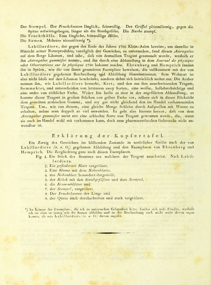 Der Stempel. Der Fruchtknoten länglich, feinwollig. Der Griffel pfriemförmig, gegen die Spitze aufwärtsgebogen, länger als die Staubgefäfse. Die Narbe stumpf. Die Fruchthülle. Eine längliche, feinwollige Hülse. Die Samen. Mehrere nierenförmig *). Labillardiere, der gegen das Ende des Jahres 1786 Klein-Asien bereiste, um dasselbe in Hinsicht seiner Naturprodukte, vorzüglich der Gewächse, zu untersuchen, fand diesen Astragalus auf dem Berge Libanon, und sähe, dafs von demselben Tragant gesammelt wurde, weshalb er ihn Astragalus gummifer nannte, und ihn durch eine Abhandlung in dem Journal de physique oder Observations sur la physique 1790 bekannt machte. Ehrenberg und Hemprich fanden ihn in Syrien, wie die von ihnen gesendeten Exemplare beweisen, die vollkommen mit der von Lab illardiere gegebenen Beschreibung und Abbildung übereinstimmen. Sein Wohnort ist also nicht blofs auf den Libanon beschränkt, sondern dehnt sich betrieblich weiter aus. Die Araber nennen ihn, wie La bill ardi ere bemerkt, Ktet, und den aus ihm ausschwitzenden Tragant, Semmektet, und unterscheiden von letzterem zwey Sorten, eine weifse, halbdurchsichtige und eine andre von röthlicher Farbe. Weiter hin hei Pst es aber in der angeführten Abhandlung, es komme dieser Tragant in grofsen Stücken von gelber Farbe vor, nähere sich in dieser Rücksicht dem gemeinen arabischen Gummi, und sey gar nicht gleichend den im Handel vorkommenden Tragant. Lfm, wie von diesem, eine gleiche Menge Schleim durch Aufquellen mit Wasser zu erhalten, müsse man doppelt so viel anwenden. Es geht also hieraus hei'vor, dafs von dem Astragalus gummifer meist nur eine schlechte Sorte von Tragant gewonnen werde, die, wenn sie auch im Handel wohl mit Vorkommen kann, doch zum pharmaceutiscchen Gebrauche nicht an- wendbar ist. Erklärung der K u p f e r t a f e 1. Ein Zweig des Gewächses im blühenden Zustande in natürlicher Gröfse nach der von L a b ill ar di e r e (a. a. O.) gegebenen Abbildung und den Exemplaren von Ehrenberg und Hemprich. Die Zergliedrung ganz nach diesen Exemplaren. Fig. I. Ein Stück des Stammes aus welchem der Tragant ausschwitzt. Nach Labil- lar d i e r e. 2. Ein gefiedertes Blatt vergrößert. 3. Eine Blume mit dem Nebenblatte, 4. das Nebenblatt besonders dargestellt, 5. der Kelch, mit den Staubgefäfsen und dem Stempel, G die Kronenblätter und 7. der Stempel, vergröfsert. 8 Der Fruchtknoten der Länge und 9. der Quere nach durchschnitten und stark vergröfsert. \n keinem der Exemplare, die ich zu untersuchen Gelegenheit hatte, fanden sich reife Früchte, weshalb ich sie eben so wenig wie die Samen abbilden und in der Beschreibung auch nicht mehr davon sagen konnte, als was L ah i 1 la rdi er c (a. a. OJ davon angiebt.
