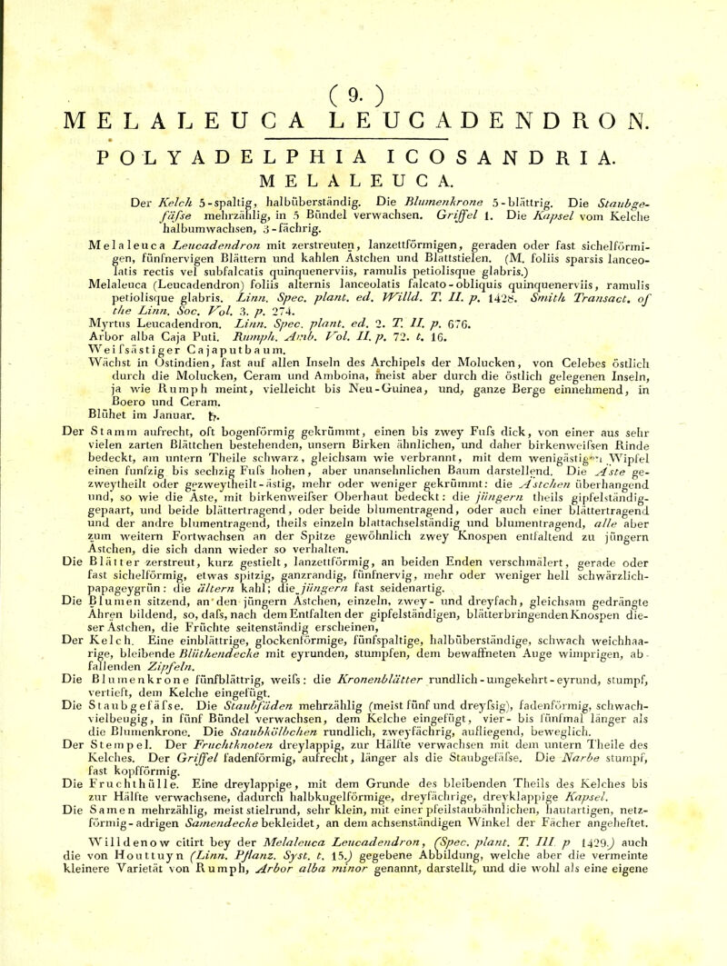 ( 9- ) MELALEUCA LEUGADENDRON. * ■* POLYADELPHIA ICOSANDRIA. MELALEUCA. Der Kelch 5-spaltig, halbüberständig. Die Blumenkrone 5-blättrig. Die Staubge- fäße mehrzählig, in 5 Biindel verwachsen. Griffel 1. Die Kapsel vom Kelche halbumwachsen, 3-fächrig. Melaleuca Leucadendron mit zerstreuten, lanzettförmigen, geraden oder fast sichelförmi- gen, fünfnervigen Blättern und kahlen Ästchen und Blattstielen. (M. foliis sparsis lanceo- latis rectis vel subfalcatis quinquenerviis, ramulis petiolisque glabris.) Melaleuca (Leucadendron) foliis alternis lanceolatis falcato-obliquis quinquenerviis, ramulis petiolisque glabris. Linn. Spec. platit. ed. VKilld. T. II. p. 142b. Smith Transact. of the Linn. Soc. Kol. 3. p. 274. Myrtus Leucadendron. Linn. Spec. plant, ed. 2. T. II. p. 676. Arbor alba Caja Puti. Rumph. Amb. Kol. II. p. 72. t, 16. Weifsästiger Cajaputbaum. Wächst in Ostindien, fast auf allen Inseln des Archipels der Molucken, von Celebes östlich durch die Molucken, Ceram und Amboina, meist aber durch die östlich gelegenen Inseln, ja wie Rumph meint, vielleicht bis Neu-Guinea, und, ganze Berge einnehmend, in Boero und Ceram. Blühet im Januar, f,. Der Stamm aufrecht, oft bogenförmig gekrümmt, einen bis zwey Fufs dick, von einer aus sehr vielen zarten Blättchen bestehenden, unsern Birken ähnlichen, und daher birkenweifsen Rinde bedeckt, am untern Theile schwarz, gleichsam wie verbrannt, mit dem wenigästig°’i Wipfel einen fünfzig bis sechzig Fufs hohen, aber unansehnlichen Baum darstellend. Die Aste ge- zweytheilt oder gezweytheilt-ästig, mehr oder weniger gekrümmt: die Ästchen überhangend und, so wie die Aste, mit birkenweifser Oberhaut bedeckt: die jungem theils gipfelständig- gepaart, und beide blättertragend, oder beide blumentragend, oder auch einer blättertragend und der andre blumentragend, theils einzeln blattachselständig und blumentragend, alle aber zum weitern Fort wachsen an der Spitze gewöhnlich zwey Knospen entfaltend zu jüngern Ästchen, die sich dann wieder so verhalten. Die Blätter zerstreut, kurz gestielt, lanzettförmig, an beiden Enden verschmälert, gerade oder fast sichelförmig, etwas spitzig, ganzrandig, fünfnervig, mehr oder weniger hell schwärzlich- papageygrün: die altern kahl; diqJüngern fast seidenartig. Die Blumen sitzend, an den jüngern Ästchen, einzeln, zwey- und dreyfach, gleichsam gedrängte Ähren bildend, so, dafs, nach dem Entfalten der gipfelständigen, blätterbringenden Knospen die- ser Ästchen, die Früchte seitenständig erscheinen, Der Kelch. Eine einblättrige, glockenförmige, fünfspaltige, halbüberständige, schwach weichhaa- rige, bleibende Bliithendecke mit eyrunden, stumpfen, dem bewaffneten Auge wimprigen, ab fallenden Zipfeln. Die Bl innen kröne fünfblättrig, weifs : die Kronenblätter rundlich-umgekehrt-eyrund, stumpf, vertieft, dem Kelche eingefügt. Die S t aub g ef äfse. Die Staubfäden mehrzählig (meist fünf und dreyfsig), fadenförmig, schwach- vielbeugig, in fünf Bündel verwachsen, dem Kelche eingefügt, vier- bis fünfmal länger als die ßlumenkrone. Die Staubkölbchen rundlich, zweyfächrig, aufliegend, beweglich. Der Stempel. Der Fruchtk?iote?i dreylappig, zur Hälfte verwachsen mit dem untern Theile des Kelches. Der Griffel fadenförmig, aufrecht, länger als die Staubgefäfse. Die Narbe stumpf, fast kopfförmig. Die Fruchthülle. Eine dreylappige, mit dem Grunde des bleibenden Theils des Kelches bis zur Hälfte verwachsene, dadurch halbkugelförmige, dreyfächrige, dreyklappige Kapsel. Die Samen mehrzählig, meist stielrund, sehr klein, mit einer pfeilstaubähnlichen, hautartigen, netz- förmig-adrigen Samendecke bekleidet, an dem achsenständigen Winkel der Fächer angeheftet. Willdenow citirt bey der Melaleuca Leucadendron, (Spec. plant. T. III p 1429) auch die von Houttuyn (Linn. Pflanz. Syst. t. 15.) gegebene Abbildung, wrelche aber die vermeinte kleinere Varietät von Rumph, Arbor alba minor genannt, darstellt, und die wohl als eine eigene