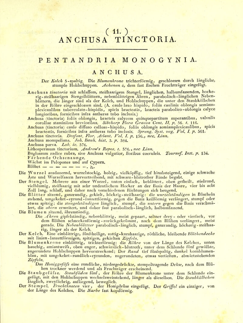 ANCHUSA TINCTORIA. PENTANDRIA MONOGYNIA. ANCHUSA. Der Kelch 5 -spaltig. Die Blume?ikrone trichterförmig, geschlossen durch längliche, stumpfe Hohlschuppen. Achenen 4, dem fast flachen Fruchtträger eingefügt. Anchusa tinctoria mit schlaffem, steifhaarigem Stengel, länglichen, halbumfassenden, höcke- rig-steifhaarigen Stengelblättern, nebenblättrigen Ähren, parabolisch-länglichen Neben- blättern, die länger sind als der Kelch, und Hohlschuppen, die unter den Staubkölbchen in der Röhre eingeschlossen sind. (A. caule laxo hispido, foliis caulinis oblongis semiam- plexicaulibus tuberculato-hispidis, spicis bracteatis, bracteis parabolico-oblongis calyce longioribus, fornicibus infra antheras tubo inclusis.) Anchusa (tinctoria) foliis oblongis, bracteis calycem quinquepartitum superantibus, valvulis corollae staminibus brevioribus. Sibthorp Flora Graeca Cent. II. p. 56. t. 116. Anchusa (tinctoria) caule diffuso calloso-hispido, foliis oblongis semiamplexicaulibus, spicis bracteatis, fornicibus infra antheras tubo inclusis. Spreng. Syst. veg. Kol. I. p. 561. Anchusa tinctoria. Desfont. Flor. Atlant. Kol. I. p. 156.; nec. Linn. Anchusa monspeliana. loh. Bauh. hist. 3. p. 584. Anchusa parva. Loh. ic. 576- Lithospermum tinctorium. Andrew's Repos. t. 576. * nec Linn. Buglossiun radice rubra, sive Anchusa vulgatior, floribus coeruleis. Tournef. Inst. p. 134. Färbende Ochsenzunge. Wächst im Pelopones und auf Cypern. Blühet — — — —. 2t- Die Wurzel ausdauernd, wurzelstockig, holzig, vielköpffig, tief hinabsteigend, einige schwache Aste und Wurzelfasern hervortreibend, mit schwarz-blutrother Rande begabt. Der Stengel. Mehrere aus einer Wurzel, unten einfach, beblättert, oben getheilt, stielrund, vielblumig, steifhaarig mit sehr undeutlichem Hocker an der Basis der Haare, vier bis acht Zoll lang, schlaff, und daher nach verschiedenen Richtungen sich beugend. Die Blätter sitzend, ganzrandig, gekielt, höckrig - steifhaarig: die wnrzelständigen in Büscheln stehend, umgekehrt-eyrund-lanzettförmig, gegen die Basis keilförmig verlängert, stumpf oder etwas spitzig; die stengelständigen länglich, stumpf, die untern gegen die Basis verschmä- lert, die obern erweitert, und daher fast parabolisch-länglich, halbumfassend. Die Blumen sitzend, ährenständig. Die Ähren gipfelständig, nebenblättrig, meist gepaart, seltner drey - oder vierfach, vor dem Blühen schneckenförmig - zurückgekrümmt, nach dem Blühen verlängert, meist gerade. Die Nebenblättter parabolisch-länglich, stumpf, ganzrandig, höckerig-steifhaa- rig, länger als der Kelch. Der Kelch. Eine einblättrige, fünftheilige, zottig-kurzhaarige, röthliche, bleibende Blüthendecke mit linien-lanzettförmigen, spitzigen, gekielten Zipfeln. Die Blumenkrone einblättrig, trichterförmig; die Röhre von der Länge des Kelches, unten bauchig, amiantweifs, oben enger, schwärzlich - blutroth, unter dem Schlunde fünf gewölbte, zugerundete Hohlschuppen hervorstreckend; Der Rand tief fünfspaltig, dunkel kornblumen- blau, mit umgekehrt-rundlich-eyrunden, zugerundeten, etwas vertieften, abwärtsstehenden Zipfeln. Das Iloniggefäfs eine rundliche, niedergedrückte, stempeltragende Drüse, nach dem Blü- hen trockner werdend und als Fruchträger erscheinend. Die S t a ub gef ä fs e. Staubfäden fünf, der R.öhre der Blumenkrone unter dem Schlunde ein- gefügt, mit den Hohlschuppen wechselsweisstehend, länger als dieselben. Die Staubkölbchen länglich, zweyfächrig, aufliegend, beweglich. Der S t empel. Fruchtknoten vier, der Honigdrüse eingefügt. Der Griffel ein einziger, von der Länge des Kelches. Die Narbe fast kopiTörmig.