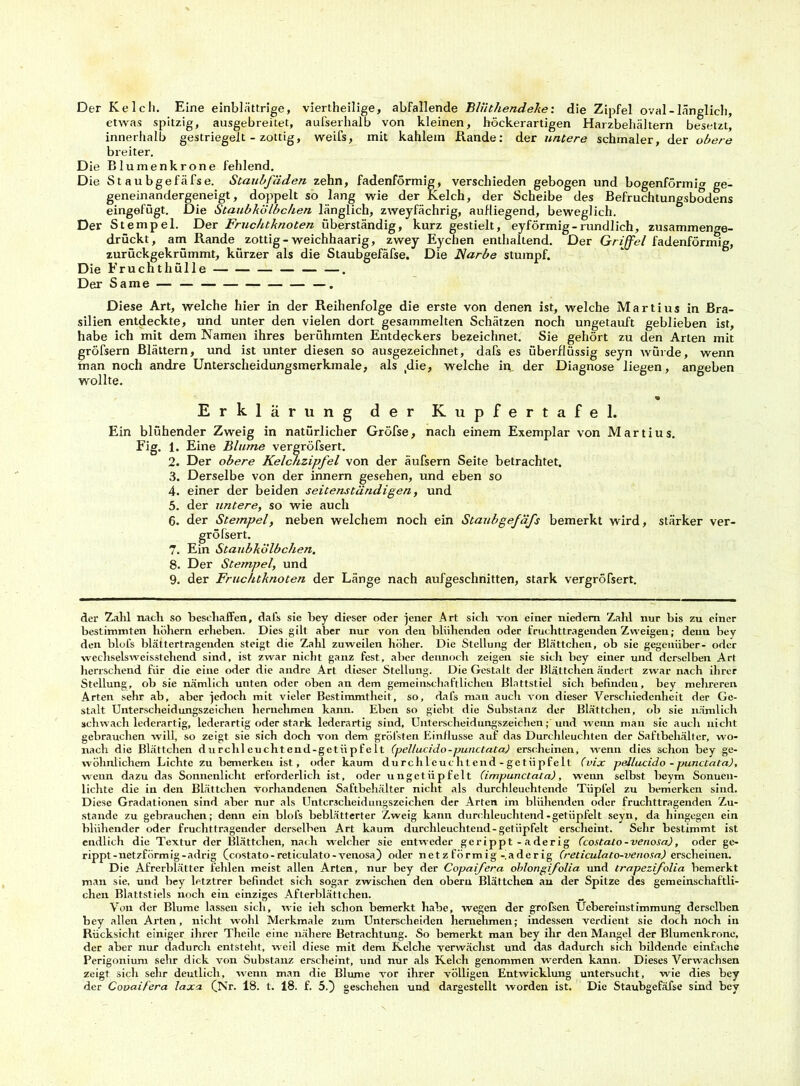 Der Ke 1 cli. Eine einblättrige, viertheilige, abfallende Blüthendeke: die Zipfel oval-länglich, etwas spitzig, ausgebreitet, aufserhalb von kleinen, höckerartigen Harzbehältern besetzt, innerhalb gestriegelt - zottig, weifs, mit kahlem Rande: der untere schmaler, der obere breiter. D ie Blumenkrone fehlend. Die St au bgefäfse. Staubfäden zehn, fadenförmig, verschieden gebogen und bogenförmig ge- geneinandergeneigt, doppelt so lang wie der Kelch, der Scheibe des Befruchtungsbodens eingefügt. Die Staubkölbchen länglich, zweyfächrig, aufliegend, beweglich. Der Stempel. Der Fruchtknoten überständig, kurz gestielt, eyförmig-rundlich, zusammenge- drückt, am Rande zottig-weichhaarig, zwey Eychen enthaltend. Der Griffel fadenförmig, zurückgekrümmt, kürzer als die Staubgefäfse. Die Narbe stumpf. Die Frucht hülle — —. Der Same — — —. Diese Art, welche hier in der Reihenfolge die erste von denen ist, welche Martius in Bra- silien entdeckte, und unter den vielen dort gesammelten Schätzen noch ungetauft geblieben ist, habe ich mit dem Namen ihres berühmten Entdeckers bezeichnet. Sie gehört zu den Arten mit gröfsern Blättern, und ist unter diesen so ausgezeichnet, dafs es überflüssig seyn würde, wenn man noch andre Unterscheidungsmerkmale, als ^ie, welche in der Diagnose liegen, angeben wollte. Erklärung der Kupfertafel. Ein blühender Zweig in natürlicher Gröfse, nach einem Exemplar von Martius. Fig. 1. Eine Blume vergröfsert. 2. Der obere Kelchzipfel von der äufsern Seite betrachtet. 3. Derselbe von der innern gesehen, und eben so 4. einer der beiden seitenständigen, und 5. der untere, so wie auch 6. der Stempel, neben welchem noch ein Staubgefäfs bemerkt wird, stärker ver- gröfsert. 7. Ein Staubkölbchen. 8. Der Stempel, und 9. der Fruchtknoten der Länge nach aufgeschnitten, stark vergröfsert. der Zahl nach so beschaffen, dals sie bey dieser oder jener Art sich von einer niedem Zahl nur bis zu einer bestimmten hohem erheben. Dies gilt aber nur von den blühenden oder fruchttragenden Zweigen; denn bey den blofs blättertragenden steigt die Zahl zuweilen höher. Die Stellung der Blättchen, ob sie gegenüber- oder wechselsweisstehend sind, ist zwar nicht ganz fest, aber dennoch zeigen sie sich bey einer und derselben Art herrschend für die eine oder die andre Art dieser Stellung. Die Gestalt der Blättchen ändert zwar nach ihrer Stellung , ob sie nämlich unten oder oben an dem gemeinschaftlichen Blattstiel sich befinden, bey mehreren Arten sehr ab, aber jedoch mit vieler Bestimmtheit, so, dafs man auch von dieser Verschiedenheit der Ge- stalt Unterscheidungszeichen hernehmen kann. Eben so giebt die Substanz der Blättchen, ob sie nämlich schwach lederartig, lederartig oder stark lederartig sind, Unterscheidungszeichen;'und weim man sie auch nicht gebrauchen will, so zeigt sie sich doch von dem gröfsten Einflüsse auf das Durchleuchten der Saftbehälter, wo- nach die Blättchen durehlcuchtend-getiipfelt (pellucido-punctata) erscheinen, wenn dies schon bey ge- wöhnlichem Lichte zu bemerken ist, oder kaum du rch 1 euc h t end - ge tii p feit (vix pellucido - punctata), wenn dazu das Sonnenlicht erforderlich ist, oder ungetüpfelt (impunctata), wenn selbst beym Sonuen- lichte die in den Blättchen vorhandenen Saftbehälter nicht als durchleuchtende Tüpfel zu bemerken sind. Diese Gradationen sind aber nur als Unterscheidungszeichen der Arten im blühenden oder fruchttragenden Zu- stande zu gebrauchen; denn ein blofs beblätterter Zweig kann durchleuchtend-getüpfelt seyn, da hingegen ein blühender oder fruchttragender derselben Art kaum durchleuchtend-getüpfelt erscheint. Sehr bestimmt ist endlich die Textur der Blättchen, nach welcher sie entweder gerippt-aderig Ccostato -venosa), oder ge- rippt-netzförmig-adrig (costato-reticulato-venosa) oder netz förmig-aderig (reticulato-venosa) erscheinen. Die Afrerblätter fehlen meist allen Arten, nur bey der Copaifera oblongifolia und trapezifolia bemerkt man sie, und bey letztrer befindet sich sogar zwischen den obern Blättchen an der Spitze des gemeinschaftli- chen Blattstiels noch ein einziges Afterblättchen. Von der Blume lassen sich, wie ieh schon bemerkt habe, wegen der grofsen Uebereinstimmung derselben bey allen Arten, nicht wohl Merkmale zum Unterscheiden hemehmen; indessen verdient sie doch noch in Rücksicht einiger ihrer Theilc eine nähere Betrachtung. So bemerkt man bey ihr den Mangel der Blumenkrone, der aber nur dadurch entsteht, weil diese mit dem Kelche verwächst und das dadurch sich bildende einfache Perigonium sehr dick von Substanz erscheint, und nur als Kelch genommen werden kann. Dieses Verwachsen zeigt sich sehr deutlich, wenn man die Blume vor ihrer völligen Entwicklung untersucht, wie dies bey