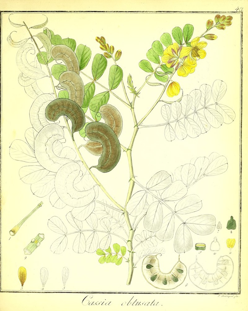 afEPfc*!?? k&A/va ( /'//Ar, J'. Crrczrryt e/.ye