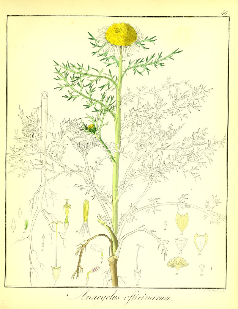 s/aa/7//7/a r (y/y /•///?//'/////