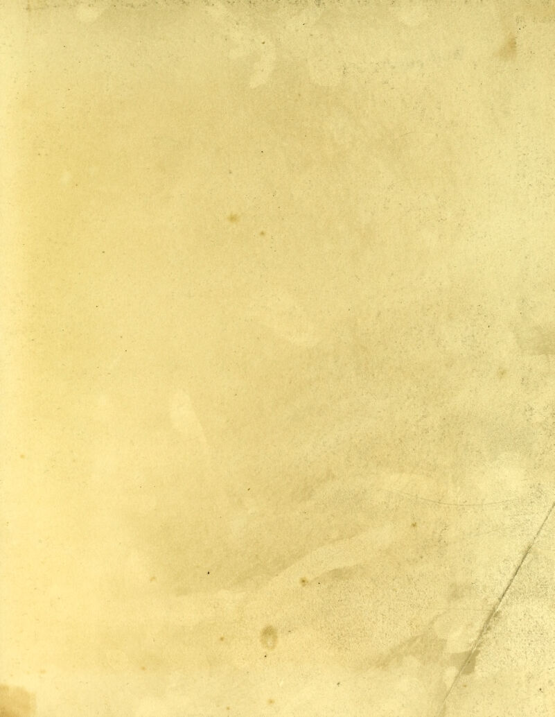 f * •• • • V V: