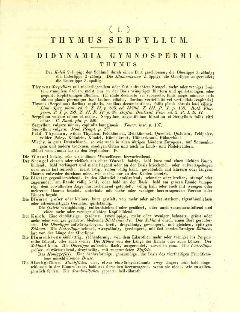 C 1- ) THYMUS S E R P Y L L U M. D I D Y N A M I A G Y M N O S P E R M I A. T H Y BI U S. Der Kelch 2-üppig; der Schlund durch einen Bart geschlossen; die Oberlippe 3-zahnig; die Unterlippe 2-zähnig. Die IJlumcitlcrone 2-üppig: die Oberlippe ausgerandet; die Unterlippe 3-spallig. Thymus Ycr/iy/Zum mit niederüegendem oder fast aufrechtem Stengel, mehr oder weniger brei- ten, stumpfen, flachen, meist nur an der Basis wimprigen Blättern und quirlständigen oder gequirlt-kopfständigen Blumen. (T. caule decünato vel suberecto, foüis magis minusve latis obtusis planis plcrumque basi tantum ciüatis, floribus vcrticillatis vel verticillato-capitatis.) Thymus (Serpyllum) lloribus capitatis, cauübus decumbentibus, foüis planis obtusis basi ciüatis. Linn. Spec. plant, cd. 2. T. II. p. 825. ed. IVilld. T. III. P. I. p. 138. Roth Flor, germ. T. I p. 259. T. II. P. II p. 38. Iloffni. Deutschi. Flor. ed. 2. P. I. S. II. Seqiyllum vulgare minus et majus, Serpyllum angustifoliura hirsutum et Serpyllum foüis citri odore. C. Rauh. pin. p. 220. Serpyllum vulgare minus, capitulis lanuginosis. Tourn. inst. p. 197. Serpyllum vnlgai'e. Dod. Peinpt. p. 277. Feld - Thymian, wilder Thymian, Feldkümracl, Reinkümmel, Quendel, Quänlcin, Fcldpoley, wilder Poley, Kühnlein, Kündel, Kündelkraut, Hühnerkraut, Hühnerkohl. Wächst in ganz Deutschland, so wie auch in allen übrigen Ländern Europens, auf Sonnenhü- geln und andern trocknen, sandigen Orten und auch in Laub- nnd Nadelwäldern. Blühet vom Juuius bis in den September, t?- Die Wurzel holzig, sehr viele dünne Wurzelfascrn hervortreibend. Der Stengel einzeln oder vielfach aus einer Wurzel, holzig, bald kurz und einen dichten Rasen bildend, bald verlängert und niederliegend oder an der Basis kriechend, oder aufwärtsgebogen oder auch fast aufrecht, meist ästig, selten völlig kahl, gewöhnlich mit kürzern oder längern Haaren entweder durchaus oder, wie meist, nur an den Kanten besetzt. Die Blätter gegenüberstellend, in den Blattstiel herablaufend, schmaler oder breiter, stumpf oder zugerundet, am Rande völlig kahl, oder bald an der Basis, bald am ganzen Rande wimpe- rig, dem bewaffneten Auge durchscheinend-getüpfelt, völlig kahl oder auch mit wenigen oder mehreren Haaren besetzt, unterhalb mit mehr oder weniger hervorragenden Nerven oder Rippen begäbt. Die Blumen gröfser oder kleiner, kurz gestielt, von mehr oder minder starkem, eigenthümlichem oder citronenartigem Gerüche, quirlständig. Die Quirle wenigblumig, entferntstehend oder genähert, oder auch zusammenstofsend und einen mehr oder weniger dichten Kopf bildend. Der Kelch. Eine einblättrige, geröhrte, zweylippige, mehr oder weniger behaarte, grüne oder mehr oder weniger gefärbte, bleibende Der Schlund durch einen Bart geschlos- sen. Die Oberlippe aufwärtsgebogen, breit, dreyzähnig, gewimpert, mit gleichen, spitzigen Zähnen. Die Unterlippe schmal, zweyzälmig, gewimpert, mit fast borstenförmigen Zähnen.^ fast von der Länge der Oberlippe. Die Blumenkrone einblättrig, rachenförmig, von dem Lilarothen mehr oder weniger ins Purpur- rothe fallend, oder auch weifs; Die Röhre von der Länge des Kelchs oder auch kürzer. Der Schlund klein. Die Oberlippe aufrecht, flach, ausgerandet, zuweilen ganz. Die Unterlippe gröfser, abwärtsstehend, dreylheilig, mit zugerundeten Zipfeln. Das Iloniggefäfs. Eine becherförmige, ganzrandige, die Basis des vierfheiügen Fruchtkno- tens umschüefsende Drüse. Die Staubgefäfse. Staubfäden vier, etwas einwärtsgekrümmt: zwfy länger; a//c bald cinge- schlossen in der Blumenkrone, bald aus derselben hervorragend, wenn sie nicht, wie zuweilen, gänzlich fehlen. Die Staubkölbchen gepaart, hell-lilaroth.