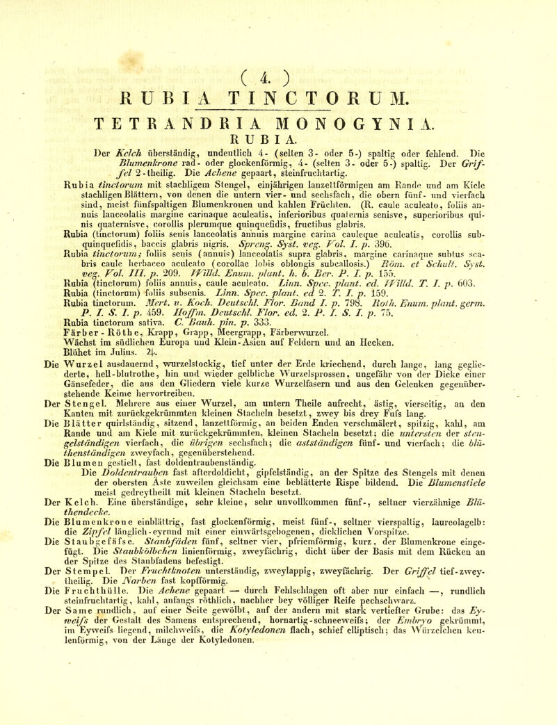( 4. ) RUBIA TINCTORÜM TETRANDRIA MONOGYNIA. RUBIA. Der Kelch überständig, undeutlich 4- (selten 3- oder 5-) spaltig oder fehlend. Die Blumenlcrone rad- oder glockenförmig, 4- (selten 3- oder 5-) spaltig. Der Grif- j'el 2-theilig. Die Achene gepaart, steinfruchtartig. Rubia tinctorum mit stachligem Stengel, einjälirigen lanzettförmigen am Rande und am Kiele stachligen Blättern, von denen die untern vier- und sechsfach, die obern fünf- und vierfach sind, meist fünfspaltigen Blumenkronen und kahlen Früchten. (R. caule aculeato, foliis an- nuis lanceolatis margine carinaqne aculeatis, inferioribus quaiernis senisve, superioribus qui- nis quaternisve, corollis pleruinque quinquefidis, fructibus glabris. Rubia (tinctonim) foliis senis lanceolatis annuis margine carina cauleque aculeatis, corollis sub- quinquefidis, baccis glabris nigris. Spreng. Syst. <veg. Pol. J. p. 396. Rubia tinctorum; foliis senis (annuis) lanceolatis supra glabris, margine carinaqne subtus sca- bris caule herbaceo aculeato (corollae lobis oblongis subcallosis.) Röm. et Schult. Syst, veg. P^ol. III. p. 209. PPilld. Enuni. plant, h. h. Bcr. P. I. p. 155. Rubia (tinctorum) foliis annuis, caule aculeato. Linn. Spcc. plant, ed. Pf'illd. T. I. p. 603. Rubia (tinctorum) foliis subsenis. Linn. Spec. plant, ed 2. T. I. p. 159. Rubia tinctorum. Mert. v. Koch. Deutschi. Flor. Band I. p. 798. Roth. Enuni. plant, genn. P. I. S. I. p. 459. Ilojfm. Deutschi. Flor. ed. 2. P. I. S. I. p. 75. Rubia tinctorum saiiva. C. ßauh. pin. p. 333. Färb er - Röth e, Ki-app, Grapp, Meergrapp, Färberwurzel. Wächst im südlichen Europa und Klein-Asien auf Feldern imd an Hecken. Blühet im Julius. 2(.. Die Wurzel ausdauernd, wurzelstockig, tief unter der Erde kriechend, durch lange, lang geglie- derte, hell - blutrothe, hin und wieder gelbliche Wurzelsprossen, ungefähr von der Dicke einer Gänsefeder, die aus den Gliedern viele kurze Wurzelfasern und aus den Gelenken gegenüber- stehende Keime hervortreiben. Der Stengel. Mehrere aus einer Wurzel, am untern Theile aufrecht, ästig, vierseitig, an den Kanten mit zurückgekrümmten kleinen Stacheln besetzt, zwey bis drey Fufs lang. Die Blätter quirlständig, sitzend, lanzettförmig, an beiden Enden verschmälert, spitzig, kahl, am Rande und am Kiele mit zurückgekrümmten, kleinen Stacheln besetzt; die untersten der sten- gelständigen vierfach, die übrigen sechsfach; die astständigen fünf- und vierfach; die blü- thenständigen zweyfach, gegenüberstehend. Die Blumen gestielt, fast doldentraubenständig. Die Doldentrauhcn fast afterdoldicht, gipfelständig, an der Spitze des Stengels mit denen der obersten Äste zuweilen gleichsam eine beblätterte Rispe bildend. Die Blumenstiele meist gedreytheilt mit kleinen Stacheln besetzt. Der Kelch. Eine überständige, sehr kleine, sehr unvollkommen fünf-, seltner vierzähnige Blü- thendcche. Die Blumenkrone einblättrig, fast glockenförmig, meist fünf-, seltner vierspaltig, laureolagelb: die Zipfel länglich-eyrnnd mit einer einwärtsgebogenen, dicklichen Vorspitze. Die Staubgefäfse. Staubfäden fünf, seltner vier, pfriemförmig, kurz, der Blumenkrone einge- fügt. Die Staubkölbchen linienförmig, zweyfächrig, dicht über der Basis mit dem Rücken an der Spitze des Staubfadens befestigt. Der Stempel. Der Fruchtknoten unterständig, zweylappig, zweyfächrig. Der Griffel tief-zwey- theilig. Die Narben fast kopfförmig. Die Fruchthülle. Die Achene gepaart — durch Fehlschlagen oft aber nur einfach —, rundlich steinfruchtartig, kahl, anfangs röthlich, nachher bey völliger Reife pechschwarz. Der Same rundlich, auf einer Seite gewölbt, auf der andern mit stark vertiefter Grube: das Ey- Tveifs der Gestalt des vSamens entsprechend, hornartig-schneeweifs; der Embryo gekrümmt, im Eyweifs liegend, milchweifs, die Kotyledonen flach, schief elhptisch; das Würzelchen keu- lenförmig, von der Jjänge der Kotyledonen.