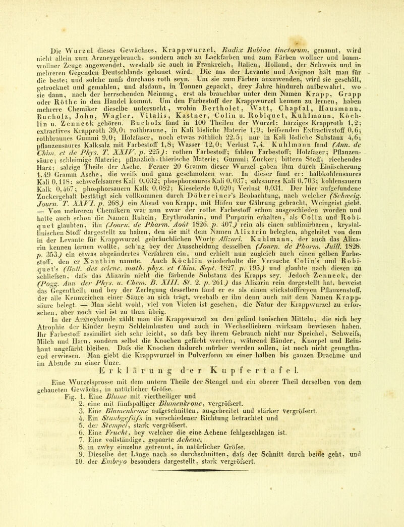 Die Wurzel dieses Gewächses, Krappwurzel, Radi.v Iluhiae tinctomrn, genannt, wird nicht allein zum Arzneygebrauch, sondern auch zu Lackfarben und zum Färben wmllucr und baura- wollner Zeuge angewendet, weshalb sic auch in Frankreich, Italien, Holland, der Schweiz und in mehreren Gegenden Deutschlands gebauet wird. Die aus der Levante und Avignon hält man für die beste; und solche mufs durchaus roth seyn. Um sie zum Färben anzuwenden, wird sie geschält, getrocknet und gemahlen, und alsdann, in Tonnen gepackt, drey Jahre hindurch aufbewahrt, wo sie dann, nach der lierrschendcn Meinung, erst als brauchbar unter dem Namen Krapp, Grapp oder Röthe in den Handel kommt. Um den Farbestoff der Krappwurzel kennen zu lernen, haben mehrere Chemiker dieselbe untersucht, wohin Bertholet, Watt, Chaptal, Hansmann, Bucholz, John, Wagler, Vitalis, Kästner, Colin u. Robiquet, Kuhlmann, Köch- lin u. Zenneck gehören. Bucholz fand in 100 Theilen der Wurzel: harziges Krapproth 1,2; extractives Krapproth 39,0; roihbraune, in Kali lösliche Dlaterie 1,9; beifsenden Extraclivstoff 0,6; rothbraunes Gummi 9,0; Holzfaser, noch etwas röthlich 22.5; nur in Kali lösliche Substanz 4,6; pflanzensaures Kalksalz mit Farbestoff 1,8; Wasser 12,0; Verlust 7,4. Kuhlmann fand (Ann. de Chim. ct de Phys. T. XXIV. J). 225rothen Farbestoff; fahlen Farbestoff; Holzfaser; Pllanzen- säure; schleimige Materie; pflanzlich-Ihierische Materie; Gummi; Zucker; bittern Stoff; riechendes Harz; salzige Theile der Asche. Ferner 20 Gramm dieser Wurzel gaben ihm durch Einäscherung 1.49 Gramm Asche, die weifs und ganz geschmolzen war. In dieser fand er: halbkohlensaures Kali 0,118; schwefelsaures Kali 0,032; phosphorsaures Kali 0,037; salzsaures Kali 0,703; kohlensauern Kalk 0,467; phosphorsauern Kalk 0,082; Kieselerde 0,020; Verlust 0,031. Der hier aufgefundene Zuckergehalt bestätigt sich vollkommen durch Döbereiner’s Beobachtung, nach welcher (Schtveig. Journ. T. XXVI. p. 268.^ ein Absud von Krapp, mit Häfen zur Gährung gebracht, Weingeist giebt. Von mehreren Chemikern w^ar nun zwar der rothe Farbestoff schon ausgeschieden worden und hatte auch sclion die Namen Rubeln, Eiylhrodanin, und Purpurin erhalten, als Colin und Robi- qnet glaubten, ihn (Joitrn. de Pharm. Aoüt 1826. p. 407.^ rein als einen sublimirbaren , krystal- linischen Stoff dargcstcllt zu haben, den sie mit dem Namen Alizarin belegten, abgeleitet von dem in der Levante für Krappwurzel gebräuchlichen Worte Alizari. Kuhlmann, der auch das Aliza- rin kennen lernen wollte, sch'ug bey der Ausscheidung desselben (Journ. de Pharm. Juill. 182S. p. 353 .) ein etwas abgeändertes Verfahren ein, und erhielt nun zugleich auch einen gelben Farbe- stoff, den er Xanthin nannte. Auch Köchlin wiederholte die Versuche Colin’s und Robi- quet’s (Bull, des scicnc. malh. phy.'i. et Chim. Sept. 1827. p. 195.^ und glaul)le nach diesen zu schliefsen, dafs das Alizarin nicht die färbende Substanz des Krapps sey. Jedoch Zenneck, der (Pogg. Ann der Phys. u. Chem. B. XIII. St. 2. p. 261.^ das Alizarin rein dargcstcllt liat, beweist das Gegellthell; und bey der Zerlegung desselben fand er es als einen stickstoffireyen Pflanzenstoff, der alle Kennzeichen einer Säure an sich trägt, w'cshalb er ihn denn auch mit dem Namen Krapp- säure belegt. — Man sielit w'obl, viel von Vielen ist gesellen, die Natur der Krappwurzel zu erfor- schen, aller noch viel ist zu thun übrig. In der Arzneykunde zählt man die Krappwurzel zu den gelind tonischen Mitteln, die sich bey Atroiihie der Kinder beym Schleimliustcn und auch in Wecliselfiebern wirksam bewiesen haben. Ihr Farbestoff assimilirt sich sehr leicht, so dafs bey ilireni Gebrauch nicht nur Speichel, Schweifs, Milch und Harn, sondern selbst die Knochen gefärbt werden, während Bänder, Knorpel und Bein- haut ungefärbt bleiben. Dafs die Knochen dadurch mürber -werden sollen, ist noch nicht genugthu- eud erwiesen. Man gielit die Krappwurzel in Pulverform zu einer halben bis ganzen Drachme und im Alisude zu einer Unze. Erklärung der K ii p f e r t a f e I. Eine Wurzelsprosse mit dem untern Theile der Stengel und ein oberer Theil derselben von dem gcliaueten Gewmchs, in natürlicher Gröfse. Fig. 1. Eine Blume mit viertheiliger und 2. eine mit fünfspaltiger Blumenlironevergröfsert. 3. Eine Blumenlirone aufgeschnitten, ausgebreitet und stärker vergröfsert. 4. Ein Stanbgefüfs in verschiedener Richtung betrachtet und 5. der Stempel, stark vergröfsert. 6. Eine Fruchte bey welcher die eine Achene fehlgeschlagen ist. 7. Eine vollständige, gepaarte Achene, 8. in zw’ey einzelne getrennt, in natürlicher Gröfse. 9. Dieselbe der Länge nach so durchschnitten, dafs der Schnitt durch beide geht, und 10. der Embryo besonders dargestellt, stark vergröfsert.