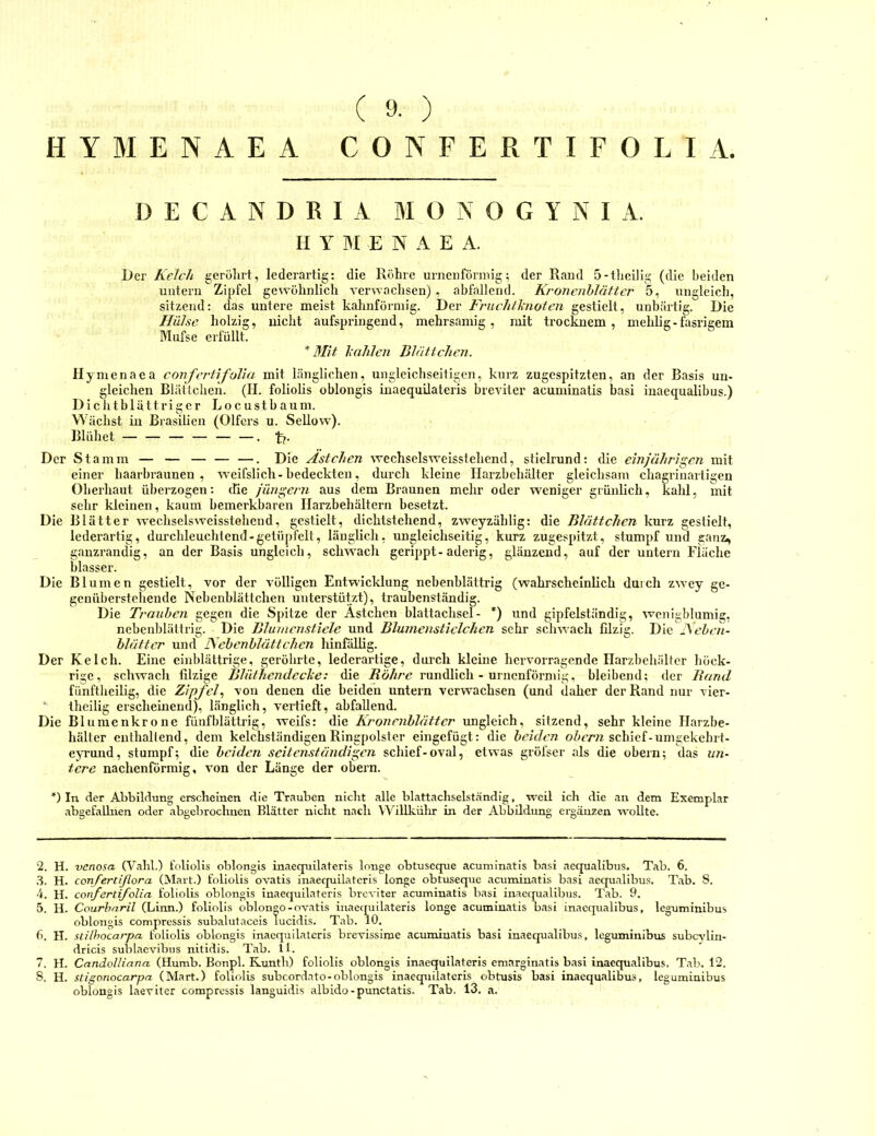 ( 9. ) D E C A N D R I A BI 0 N O G Y N I A. H Y M E N A E A. Der Kelch geröhrt, lederartig: die Röhre urneiiförniig: der Rand 5-tlicilig (die beiden untern Zipfel gewöhnlich verwachsen) , abfallend. Kronenhiättcr 5, ungleich, sitzend: das untere meist kahnförniig. Der Fnich/hioten gestielt, unbärtig. Die Hülse holzig, uicht aufspringend, mehrsamig , mit trocknem , mehlig - fasrigem Mufse erfüllt. * Mit halilen Blättchen. Hynienaea confertifolia mit länglichen, ungleichseitigen, kurz zugespitzten, an der Basis un- gleichen Blättchen. (II. foliohs oblongis iuaequilateris breviter acuminatis basi inaequalibus.) D i c h t b 1 ä 11 r i g e r L o c u s t b a u m. Wächst in Brasilien (Olfers u. Sellow). Blühet — — — — — —. t?- Der Stamm — — — — —. Die Astehen wechselsweisstehend, stielrund: die einjährigen mit einer haarbraunen, weifslich-bedeckten, durch kleine Ilarzbehälter gleichsam chagrinartigen Oberhaut überzogen: tlie Jüngern aus dem Braunen mehr oder weniger grünlich, kahl, mit sehr kleinen, kaum bemerkbaren Ilarzbehältern besetzt. Die Blätter wechselsweisstehend, gestielt, dichtstehend, zweyzählig: die Blättehen kurz gestielt, lederartig, durchleuchtend-getüpfelt, länglich, imgleichseitig, kurz zugespitzt, stumpf und ganz, gauzi'andig, an der Basis ungleich, scliwacli gerippt-aderig, glänzend, auf der untern Fläche blasser. Die Blumen gestielt, vor der völligen Entwicklung nebenblättrig (wahrscheinlich durch zwey ge- geuüberstehende Nebenblättchen unterstützt), traubenständig. Die Trauben gegen die Spitze der Ästchen blattachsel- *) und gipfelständig, wenigblumig, nebenblättrig. Die Blumenstiele und Blumenstieichen sehr scliwach filzig. Die jXehcn- hlättcr und Nebenblatt dien hinfällig. Der Kelch. Eine einblättrige, geröhrte, lederartige, durch kleine hervorragende Ilarzbehälter höck- rige, schwach filzige Blüthendeche: die Röhre rundlich - urnenförmig, bleibend: der Band fiinftheilig, die Zipfel^ ''on denen die beiden untern verwachsen (und daher der Rand nur vier- thcilig erscheinend), länglich, vertieft, abfallend. Die Blumenkrone fünfblättrig, weifs: die Kronenblätter ungleich, sitzend, sehr kleine Ilarzbe- hälter enthaltend, dem kelchständigen Ringpolster eingefügt: die beiden schief-umgekehrt- eyi’und, stumpf; die beiden seitenständigen schief - oval, etwas gröfser als die obern; das un- tere nachenförmig, von der Länge der obern. *) In der Abbildung erscheinen die Trauben nicht alle blattachselständig, weil ich die an dem Exemplar abgefalbien oder abgelirochnen Blätter nicht nach Willkühr in der Abbildung ergänzen wollte. 2. H. venosa (Vahl.) foliolis oblongis inaequilateris longe obtuseque acuminatis basi aecpialibus. Tab. 6. .3. H. conf'ertijlora (Mart.) foliolis ovatis inaequilateris longe obtuseque acuminatis basi aequalibus. Tab. 8. 4. H. confertifolia foliolis oblongis inaequilateris breviter acuminatis basi inaequalibus. Tab. 9. 5. H. Courharil (Linn.) foliolis oblongo-ovatis iuaequilateris longe acuminatis basi inaequalibus, leguminibus oblongis compressis subalutaceis lucidis. Tab. 10. 6. EI. stilhocarpa foliolis oblongis inaequilateris brevissirae acuminatis basi inaequalibus, leguminibus subcvlin- dricis sublaevibus nitidis. Tab. ll. 7. H. Candolliana (Humb. Bonpl. Runth) foliolis oblongis inaequilateris emarginatis basi inaequalibus. Tab. 12. S. H. Uigonocarpa (Mart.) foliolis subcordato-oblongis inaequilateris obtusis basi inaequalibus, leguminibus oblongis laeviter compressis languidis albido-punctatis. Tab. 13, a.