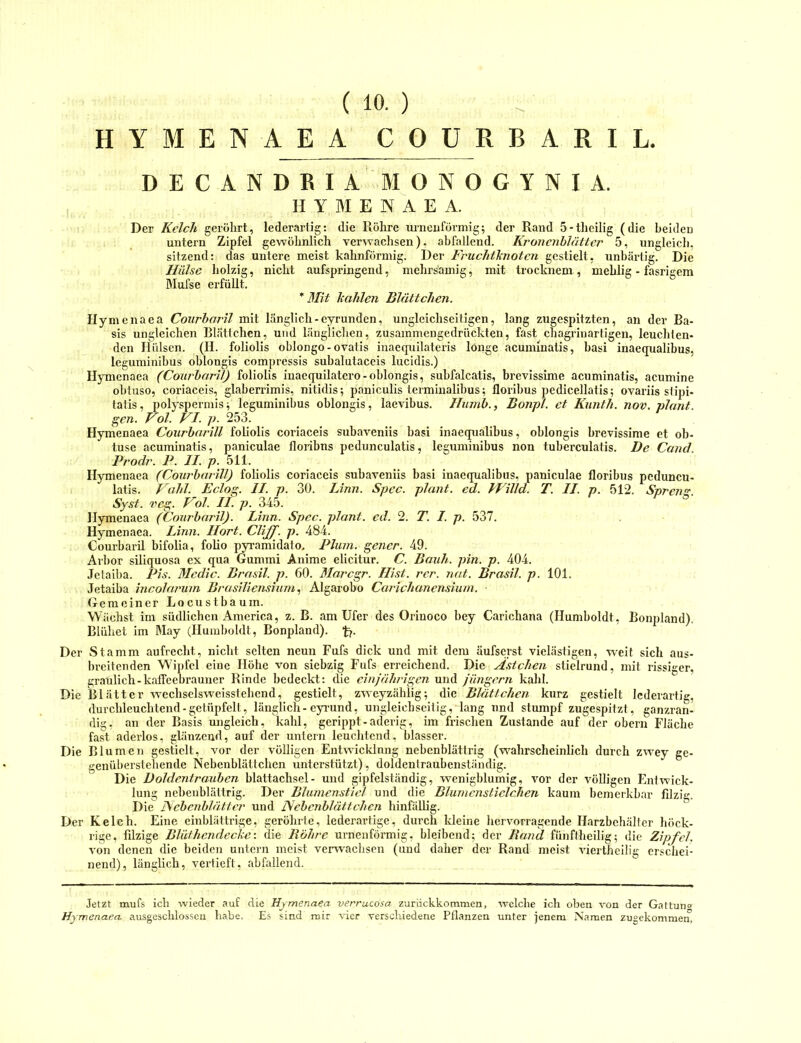 ( 10. ) HYMEN AEA COURBARIL DECANDRIA MONOGYNIA. H Y M E N A E A. Der Kelch geröhrt, lederartig: die Röhre urneuförmig; der Rand 5-theilig (die beiden untern Zipfel gewöhnlich verwachsen), abfallend. Kronenblätter 5, ungleich, sitzend: das untere meist kahnförniig. Der Fruchthnoten gestielt, unhärtig. Die Hülse holzig, nicht aufspringend, mehrs'amig, mit trocknem , mehlig - fasrigem Mufse erfüllt, * Mit Icahlen Blättchen. ilymenaea Coxirbaril mit länglich - eyrundcn, ungleichseitigen, lang zugespitzten, an der Ba- sis ungleichen Blättchen, und länglichen, zusammengedrückten, fast chagiinartigen, leuchten- den Hülsen. (H. foliolis oblongo - ovalis iuaequilateris longe acummatis, basi inaequalibus, leguniinibus oblongis compressis subalutaceis lucidis.) Ilymenaea (CourbariJ) foliolis inaequilatcro-oblongis, subfalcatis, brevissime acuminatis, acumine ohtuso, coriaceis, glaberrimis, nitidis; paniculis termiualibus; florihus pedicellatis; ovariis slipi- tatis, polyspermis^ leguminihus oblongis, laevibus. Humb., Bonpl. et Kiinth. nov. plant, gen. Fol. VI. p. 253. Hymenaea Courbarill foliolis coriaceis subaveniis basi inaequalibus, oblongis brevissime et ob- tuse acuminatis, paniculae floribns pcdunculatis, leguniinibus non tuberculatis. De Cand Prodr. P. II p. 511. Ilymenaea (Courbarill) foliolis coriaceis subaveniis basi inaequalibus, paniculae floribus pcduncu- latis. Fahl. Eclog. II. p. 30. Linn. Spec. plant, ed. JFilld. T. II. p. 512. Spreng Syst. reg. Fol. it. p. 345. Ilymenaea (Coxirbaril). linn. Spec. plant, cd. 2. T. I. p. 537. Hymenaea. Linn. Hort. Cliff. p. 484. Courbaril bifolia, folio pyramidato, Plum. gencr. 49. Arhor siliquosa ex qua Gummi Anime elicitur. C. Baxih. pin. p. 404. Jetaiba. Pis. Medic. Brasil, p. 60. Marcgr. Hist. rer. nat. Brasil, p. 101. Jetaiba incolarum Brasilicnsixnn., Algarobo Carichanensium. (icmeiner Locustbaum. Wächst im südlichen America, z. B. am Ufer des Orinoco bey Carichana (Humboldt, Bonpland). Blühet im May (Humboldt, Bonpland). fj. Der Stamm aufrecht, nicht selten neun Fufs dick und mit dem äufserst vielästigen, weit sich aus- breitenden Wipfel eine Höhe von siebzig Fufs erreichend. Die A.sichen stielrund, mit rissiger, graulich-kafTcebrauuer Rinde bedeckt: die einjährigen und jiingern kahl. Die Blätter wechselsYveisstehend, gestielt, zweyzählig; die Blättchen kurz gestielt lederartig, durchleuchtend-getüpfelt, länglich-eyi'und, ungleichseitig, lang nnd stumpf zugespitzt, ganzran- dig, an der Basis ungleich, kahl, gerippt - aderig, im frischen Zustande auf der obern Fläche fast aderlos, glänzend, auf der untern leuchtend, blasser. Die Blumen gestielt, vor der völligen Entwicklnng nebcnblättrig (w'ahrscheinlich durch zwey ge- genüherstehende Nebenblättchen unterstützt), doldenlraubenständig. Die Doldentraxiben blattachsel- und gipfelständig, wenigblumig, vor der völligen Eni Wick- lung nebenblättrig. Der Blumenstiel und die Blxnncnstielchen kaum bemerkbar filzig. Die Nebenblätter und Nebenblättchen hinfällig. Der Kelch. Eine einblättrige, geröhrte, lederartige, durch Ideine hervorragende Harzbehälter höck- rige, filzige Blüfhendecke: die Röhre urnenförmig, bleibend; der Rand fünftheilig; die Zipfel. von denen die beiden untern meist verwachsen (und daher der Rand meist viertheilig erschei- nend), länglich, vertieft, abfallend. Jetzt mufs ich wieder auf die Hymenaea verrucosa, zurückkommen, welche ich oben von der Gattun« Hymenaea ausgeschlossen habe. Es sind mir vier verschiedene Pflanzen unter jenem Namen zugekommen.