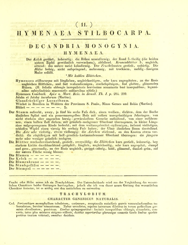 (11-) HYMENAEA STILBOCARPA DECANDRIA MONOGYNIA. II Y M E N A E A. Der Kelch geröhrt, lederartig: die Röhre urneiiförniig; der Rand 5-iheilig (die beiden untern Zipfel gewölinlich verwaehsen), abfallend. KronenhlfHter 5, ungleich, sitzend: das untere meist kahnförmig. Der Frucldlciiotcn gestielt, unbärtig. Die Hülse holzig, nicht aufspringend, mehrsamig, mit trocknem, melilig - fasrigem Mufse erfüllt. * Mit hahlcn Blättchen. Hymenaea stilbocarpa mit länglichen, ungleichseitigen, sehr kurz zugespitzten, an der Basis ungleichen Blättchen, und fast walzenförmigen, slachelspitzigcn, fast glatten, glänzenden Hiilseu. (H. foliolis oblongis inaequilatcris brevissimc acumiiiatis basi inaequalibns, legumi- nibus subcylindricis mucrouatis sublaevibus nitidis.) Ilymenaea Courbaril. Spi.v u. Mart. Reis, iii Brasil. Th. I. p. 28-i. 299. Jataba et Jalahy incolarum (Martins). Glanzfrüchtiger Locustbaum. Wächst in Brasilien in Wäldern der Provinzen S. Paulo, Minas Geraes und Bahia (Martins). Blühet — — — — — — —. t?- Der S tamm aufrecht, zwey, ja fünf bis sechs Fufs dick, einen w'eifsen, (lichten, dem der Buche ähnlichen Splint und ein pomeranzengelbes Holz mit rothen unregclmäfsigen Jahrringen, von nicht starkem aber angenebm hai'zig - gew'ürzhaflem Gerüche enthaltend, von einer rothbrau- nen, einen halben Zoll dicken, mit grüulieh-aschgrauer Oberhaut überzogenen, in kleine Längs- risse aufgesprungenen Rinde bedeckt, mit dem w^eitausgebreitet-eyförmigen, äufserst vielästigen, schlalFen Wipfel einen vierzig bis sechzig Fnfs hohen, der Ulme ähnlichen Baum darstellend. ^Die Aste sehr vielästig, etwas vielbeugig: die Ästchen sticlrund, an den Knoten etwas ver- dickt: die einjährigen mit hell-graulich-kastanienbrauner Oberhaut überzogen: die jihi^crn mehr oder weniger grünlieh - aschgrau. Die Bl ätter weehselsweisstehcnd, gestielt, zweyzälilig: Aia Blättchen kurz gestielt, lederarlig, bey starkem Liclite dnicbleuchtend-getüpfelt, länglich, ungleichseitig, sehr kimz zugespilzt, stumpf und ganz, ganzrandig, an der Basis ungleich, gerippt - aderig, kahl, glänzend, dunkel-grün, auf der untern Fläche wenig blasser. Die Blumen — — — — — —. Der Kelch — — — — . Die Blumenkrone — —. Die Staubgefäfse —. Der Stempel —. Frucht oder Hülse nenne ich sie Trachylolnum. Das Unterscheidende wird aus der Vergleichung des vvcseul- lichen Charakters beider Gattungen hervorgehen, jedoch elic ich von dieser neuen Gattung den weseutliclieu Charakter festsetze, ist es nötliig erst den natürlichen zu entwerfen. TRACIIYLOBIUM. CHARACTER GENERICüS NATÜRALIS. Cal. Perianthium monophyllum tubulatum, coriaceura, reccptaculis rcsiniferis parvis verruculaeformibus tu- berculatum, laeviter tomentosum. Tubus urceolatus, superne introrsum dilatatus iu torum pcdiccllum ger- minis obvallantem, persistens. Limhus quinquepartitus : laciniis iuaequalibus, oblongis, rotundatis, con- cavis, intus plus minusve strigoso-villosis, duabus superiorihus plerumque couuatis (unde limbus ejuadri- partitus tantum videtur), omnibus deciduis.