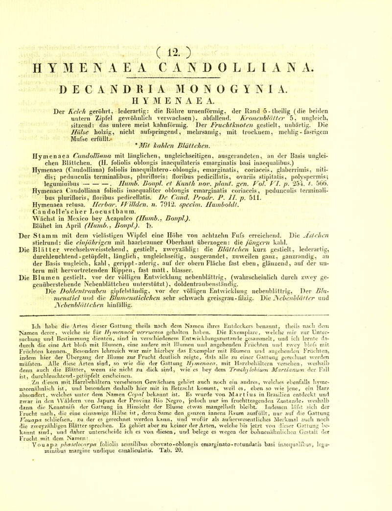 ( 12. ) H Y M E N A E A C A N D 0 L L I A N A DECANDKIA MONOGYNIA. H Y Bi; E N A E A. Der Kelch geröhrt, lederartig: die Rölire urnenförmig, der Rand -S-theilig (die beiden untern Zipfel gewöhnlich verwaclisen), abfallend. Kroncnblältcr 5, ungleich, sitzend: das untere meist kahnförmig. Der Fruchtknoten gestielt, unbärtig. Die Hülse holzig, niclit aufspringend, mehrsamig, mit trocknem, melilig - fasrigem hlul'se erfüllt.* * Mit kahlen Blättchen. Hymenaca Candolliana mit länglichen, ungleichseitigen, ausgerandeten, an der Basis unglei- chen Blättchen. (H. foliolis oblongis inaequilateris emtarginatis hasi inacqualihus.) Hymenaea (Candolliana) foliolis inaequilatero-oblongis, emarginatis, coriaceis, glaberrimis, niti- dis; pcduuciilis tcrminalibus, plurifloris; florihus pedicillatis, ovariis stipilatis, polyspermis; leguininibus — . Ilunih. Bonpl. et Kuntli nov. plant, gen. Fol. FI. p. 254. t. 566. Hymenaea Candolliana foliolis inaequalitcr oblongis emarginatis coriaceis, pcdiincnlis icrmiuali- bus plurifloris, florihus pedicellatis. De Cand. Prodr. P. II. p. 511. Hymenaea retusa. Ilerbar. fFilldcn. n. 7912. .fpccini. Humboldt. Ca n d o 11 e’s c h e r L o c u s t b a u in. Wäclist in Mexico bey Acapulco (Ilinnb., Bonpl.). Blühet im April (Ilunib., Bonpl.). t>. Der Stamm mit dem vielästigen Wipfel eine Höhe Yon aclitzchn Fufs errcicliend. Die Aslchcn stielrund: die einj'ährigcn mit haarbrauner Oberhaut überzogen: die jüngern kahl. Die Blätter wcchselsweisstehend, gestielt, zwcyzählig: die Blättchen kurz gestielt, lederartig, durchleuchtend-getüpfelt, länglich, ungleicliseitig, ausgerandet, zuweilen ganz, ganzrandig, an der Basis ungleich, kahl, gerippt-aderig, auf der obern Fläche fast eben, glänzend, auf der un- tern mit hervortretenden Ripjien, fast matt, blasser. Die Blumen gestielt, vor der völligen Entwicklung ncbenblättrig, (wahrscheinlich durch zwey ge- geuüherstehcnde Nebenldättchcu unterstützt), doldentraubenständig. Die Doldentraubcn gipfelständig, vor der völligen Entwicklung ncbenblättrig. Der Dlu- nicnstiel und die Blumensticlchcn sehr schwach greisgrau-filzig. Die ]\ebenhlättcr und j\ cbenbläiteilen hinfällig. Ich habe die Arien dieser G.Utung tlieils nach dem Namen ihres Entdeckers benannt, theils nach dem Namen derer, welche sie für Hjnienaini verrucosa gehalten haben. Die Exemplai-e, -welche mir zur Unter- suchung und Bestimmung dienten, sind in verschiedenem Entwicklungszustande gesammelt, und ich lernte da- durch die eine Art blofs mit Blumen, eine andere mit Blumen und angehenden Früchten und zwey blofs mit Früchten kennen. ^ Besonders lehrreich war mir hierbey das Exemplar mit Blumen und angehenden Früchten, indem hier der Übergang der Blume zur Frucht deutlich zeigte, dats alle zu einer Gattung gerechnet werden müfsten. Alle diese Arten sind, so -wie die der Gattung Hymenaea, mit Harzbehältern versehen, weshalb denn auch die Blätter, wenn sie nicht zu dick sind, wie es bey dem Trachy lohiurn Martianurn der Fall ist, durchleuchtend-getüpfelt erscheinen. Zn diesen mit Harzbehältern versehenen Gewächsen gehört auch noch ein andres, welches ebenfalls liyme- nacenähnlich ist, und besonders deshalb hier mit in Betracht kommt, weil es, eben so wie jene, ein Harz absondert, welches unter dem Namen Copnl bekannt ist. Es wurde von Martius in Brasilien entdeckt und zwar in den \Väldern von Japura der Provinz Bio Negro, jedoch nur im fruchttragenden Zustande, weshalb dann die Kenntnifs der Gattung in Hinsicht der Blume etwas mangelhaft bleibt. Indessen läfst sich der Frucht nach, die eine cinsamige Hülse ist, deren Same den ganzen innern Baum ausfüllt, nur auf die Gattung T'ouapa scldiefsen, zu der es gerechnet werden kann, und wofür als aufscrwesentliches Merkmal auch noch die zweyzähligen Blätter sprechen. Es gehört aber zu keiner der Arten, welche bis jetzt von dieser Gattung be- kannt sind, und daher unterscheide icli es von diesen, und belege es wegen der buhaenähnlichen Gestalt der Frucht mit dem Namen: Vouapa phaselocarpa foliolis sesssilibus obovato-oblongis emarginato-rotundatis basi inaeejualibus, legu-