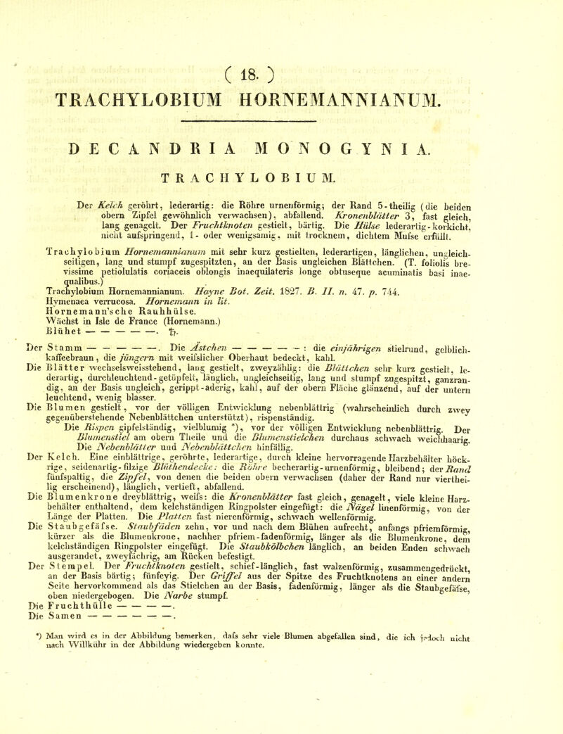 ( 18. ) TßACHYLOBIUM HORNEMANNIANÜM DECANDRIA MONOGYNIA. T R A C II Y L O B I U M. Der Kelch geröhrt, lederartig: die Röhre urnenförmig; der Rand 5-theiIig (die beiden obern Zipfel gewöhnlich verwachsen), abfallend. Kronenblätter 3, fast gleich, lang genagelt. Der Fruchtknoten gestielt, bärtig. Die Hülse lederartig - korkicht, nicht aufspringend, 1- oder wenigsaniig, mit trocknein, dichtem Mufse erfüiH. Trachylobium Hornemanniamnn mit sehr kui-z gestielten, lederartigen, längliclieu, unsleich- seitigen, lang und stumpf zugespitzten, an der Basis ungleichen Blättchen. (T. foliolis bre- vissime petiolulatis coriaceis oblongis inaequilateris longe obtuseque acuminatis basi inae- qualibus.) Trachylobium Hornemannianum. Hayne Bot. Zeit. 1827. B. II. n. 47. p. 744. Hymenaea verrucosa. Hornemann in lit. Hornemann’sche Rauhhülse. Wächst in Isle de France (Hornemann.) Blühet — — . t). Der Stamm — — . Die Ästchen — - ; die einjährigen stielrund, gelblicli- kaffeebraun, die Jüngern mit weifslicher Oberhaut bedeckt, kahl. Die Blätter wcchselsweisstehend, lang gestielt, zweyzählig: die Blättchen sehr kurz gestielt, le- derartig, durchleuchtend-getüpfelt, länglich, ungleichseitig, lang und stumpf zugespitzt, ganzran- dig, an der Basis ungleich, gerippt - aderig, kalii, auf der obern Fläche glänzend, auf der untern leuchtend, wenig blasser. Die Blumen gestielt, vor der völligen Entwicklung nebenblättrig (walirscheinlich durch zwey gegenüberstehende Nebenblättchen unterstützt), rispenständig. Die Rispen gipfelständig, vielblumig *), vor der völligen Entwicklung nebenblättrig. Der Blumenstiel am obern Tlicile und die ßlumenstielchen durchaus schwach weiclihaarie. Die ebenblätter und Nebenblättchen hinfällig. Der Kelch. Eine einblättrige, geröhrte, lederartige, durch kleine hervorragende Harzbehälter höck- rige, seidenartig-filzige Blüthendeclce; die Rohre becherartig-urnenförmig, bleibend; Rand fünfspaltig, die Zipfel, von denen die beiden obern verwachsen (daher der Rand nur vierihei- lig erscheinend), länglich, vertieft, abfallend. Die Blumenkrone dreyblättrig, weifs; die Kronenblätter fast gleich, genagelt, viele kleine Harz- behältcr enthaltend, dem kelchständigen Ringpolster eingefügt: die Nägel linenförmig, von der Länge der Platten. Die Platten fast nierenförmig, schwach wellenförmig. Die Staubgefäfse. Staubfäden zehn, vor und nach dem Blühen aufrecht, anfangs pfriemförmi'' kürzer als die Blumenkrone, nachher pfriem-fadenförmig, länger als die Blumenkrone, dem kclchständigen Ringpolster eingefügt. Die Staubkölbchen länglich, an beiden Enden schwach ausgerandet, zweyfächrig, am Rücken befestigt. Der Stempel. Der Fruchtlcnoten gestielt, schief-länglich, fast walzenförmig, zusammengedrückt an der Basis bärtig; fünfeyig. Der Griffel aus der Spitze des Fruchtknotens an einer andern Seite hervorkommend als das Stielchen an der Basis, fadenförmig, länger als die Staubgefäfse oben niedergebogen. Die Narbe stumpf. ’ Die Fruchthülle . Die Samen . *) Man wird cs in der Abbildung bemerken, dafs sehr viele Blumen abgefallen sind, die ich i^doch nicht nach Willkülir in der Abbildung wiedergeben konnte.