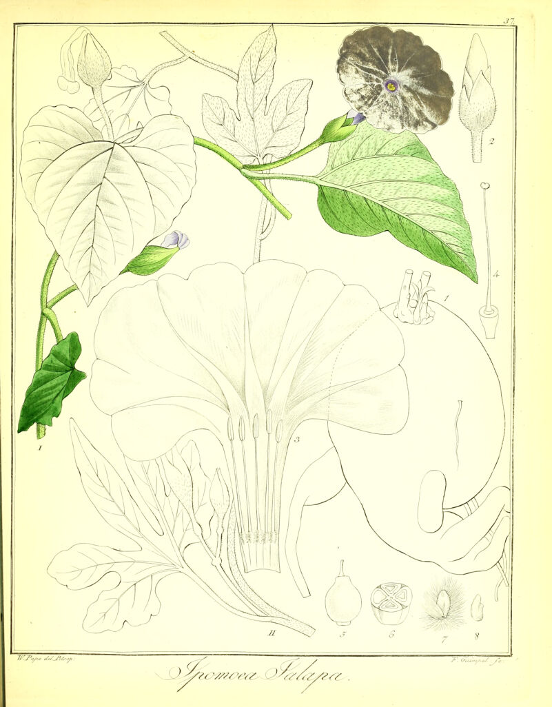 No text description is available for this image