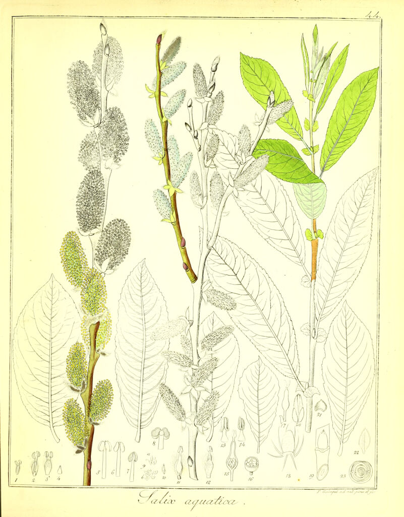 No text description is available for this image