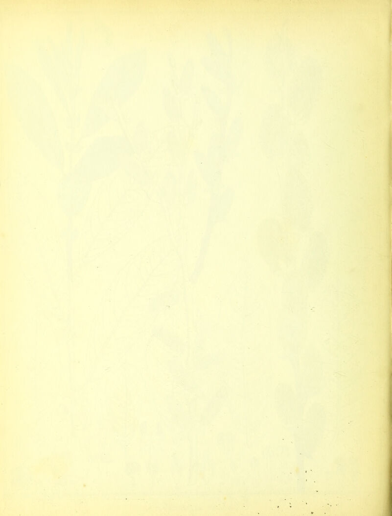 ( . s .' A ./■s; i i» i>-' • *■/ *^*;; •'s'' rv' 4 't'' /''• : ^ ^V :'|