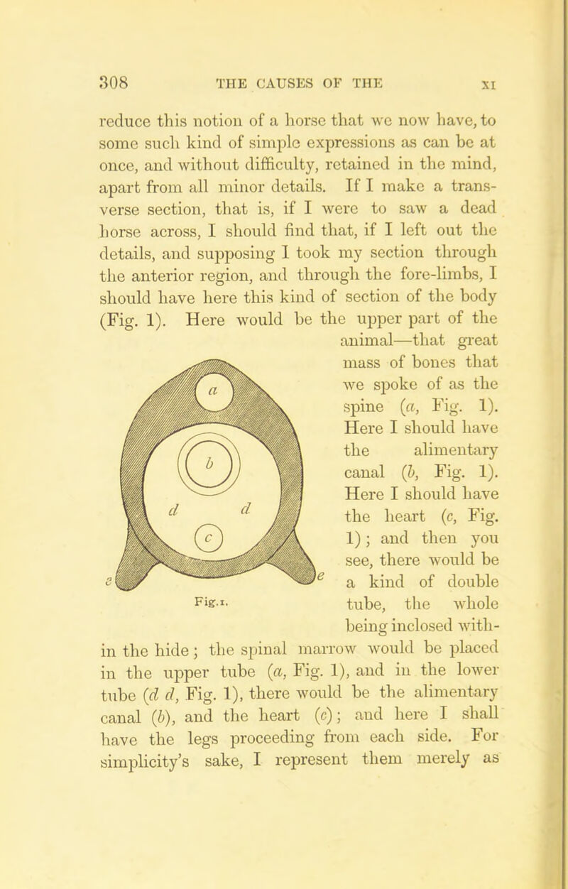 reduce this notion of a horse that we now have, to some such kind of simple expressions as can be at once, and without difficulty, retained in the mind, apart from all minor details. If I make a trans- verse section, that is, if I were to saw a dead horse across, I should find that, if I left out the details, and supposing 1 took my section through the anterior region, and through the fore-limbs, I should have here this kind of section of the body (Fig. 1). Here would be the upper part of the animal—that gi-eat mass of bones that Ave sjjoke of as the spine (a, Fig. 1), Here I should have the alimentary canal (h, Fig. 1). Here I should have the heart (c, Fig. 1); and then you see, there would be a kind of double F'S'- tube, the whole being inclosed with- in the hide; the spinal marrow Avould be placed in the upper tube (a, Fig. 1), and in the lower tube (d d, Fig. 1), there would be the alimentary canal (b), and the heart (c); and here I shall have the legs proceeding from each side. For simplicity's sake, I represent them merely as