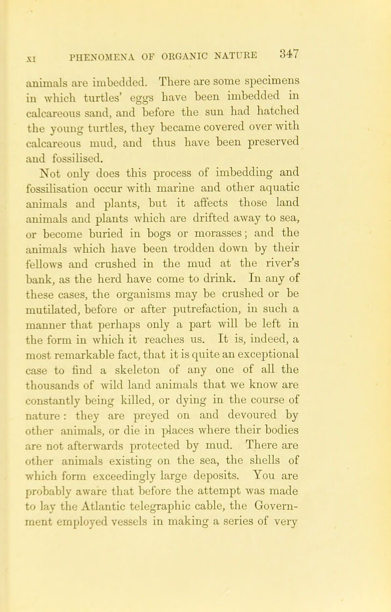 animals are imbedded. There are some specimens in which turtles' eggs have been imbedded in calcareous sand, and before the sun had hatched the young turtles, they became covered over with calcareous mud, and thus have been preserved and fossilised. Not only does this j)rocess of imbedding and fossilisation occur with marine and other aquatic animals and plants, but it affects those land animals and plants which are drifted away to sea, or become buried in bogs or morasses; and the animals which have been trodden down by their fellows and crushed in the mud at the river's bank, as the herd have come to drink. In any of these cases, the organisms may be crushed or be mutilated, before or after putrefaction, in such a manner that perhaps only a part will be left in the form in which it reaches us. It is, indeed, a most remarkable fact, that it is quite an exceptional case to find a skeleton of any one of all the thousands of wild land animals that we know are constantly being killed, or dying in the course of nature: they are preyed on and devoured by other animals, or die in places where their bodies are not afterwards protected by mud. There are other animals existing on the sea, the shells of which form exceedingly large deposits. You are probably aware that before the attempt was made to lay the Atlantic telegraphic cable, the Govern- ment employed vessels in making a series of very