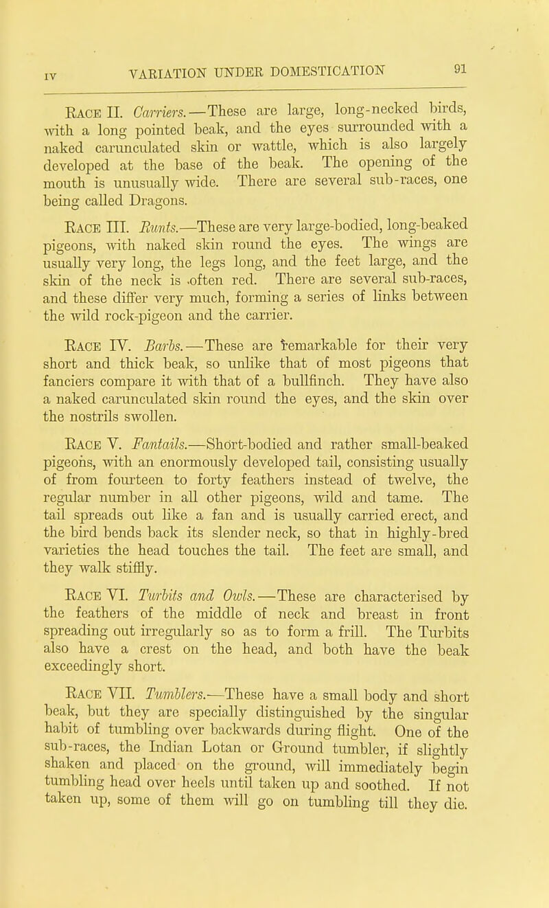 RACE II. Carriers.—These are large, long-necked birds, with a long pointed beak, and the eyes surrounded with a naked carunculated skin or wattle, which is also largely developed at the base of the beak. The opening of the mouth is unusually wide. There are several sub-races, one being called Dragons. Race III. Runts.—These are very large-bodied, long-beaked pigeons, with naked skin round the eyes. The wings are usually very long, the legs long, and the feet large, and the skin of the neck is -often red. There are several sub-races, and these differ very much, forming a series of links between the wild rock-pigeon and the carrier. RACE IV. Barbs.—These are remarkable for then- very short and thick beak, so unlike that of most pigeons that fanciers compare it with that of a bullfinch. They have also a naked carunculated skin round the eyes, and the skin over the nostrils swollen. Race V. Fantails.—Short-bodied and rather small-beaked pigeons, with an enormously developed tail, consisting usually of from fourteen to forty feathers instead of twelve, the regular number in all other pigeons, wild and tame. The tail spreads out like a fan and is usually carried erect, and the bird bends back its slender neck, so that in highly-bred varieties the head touches the tail. The feet are small, and they walk stiffly. Race VI. Turbits and Owls. —These are characterised by the feathers of the middle of neck and breast in front spreading out irregularly so as to form a frill. The Turbits also have a crest on the head, and both have the beak exceedingly short. Race VII. Tumblers.-—These have a small body and short beak, but they are specially distinguished by the singular habit of tumbling over backwards during flight. One of the sub-races, the Indian Lotan or Ground tumbler, if slightly shaken and placed on the ground, will immediately begin tumbling head over heels until taken up and soothed. If not taken up, some of them will go on tumbling till they die.