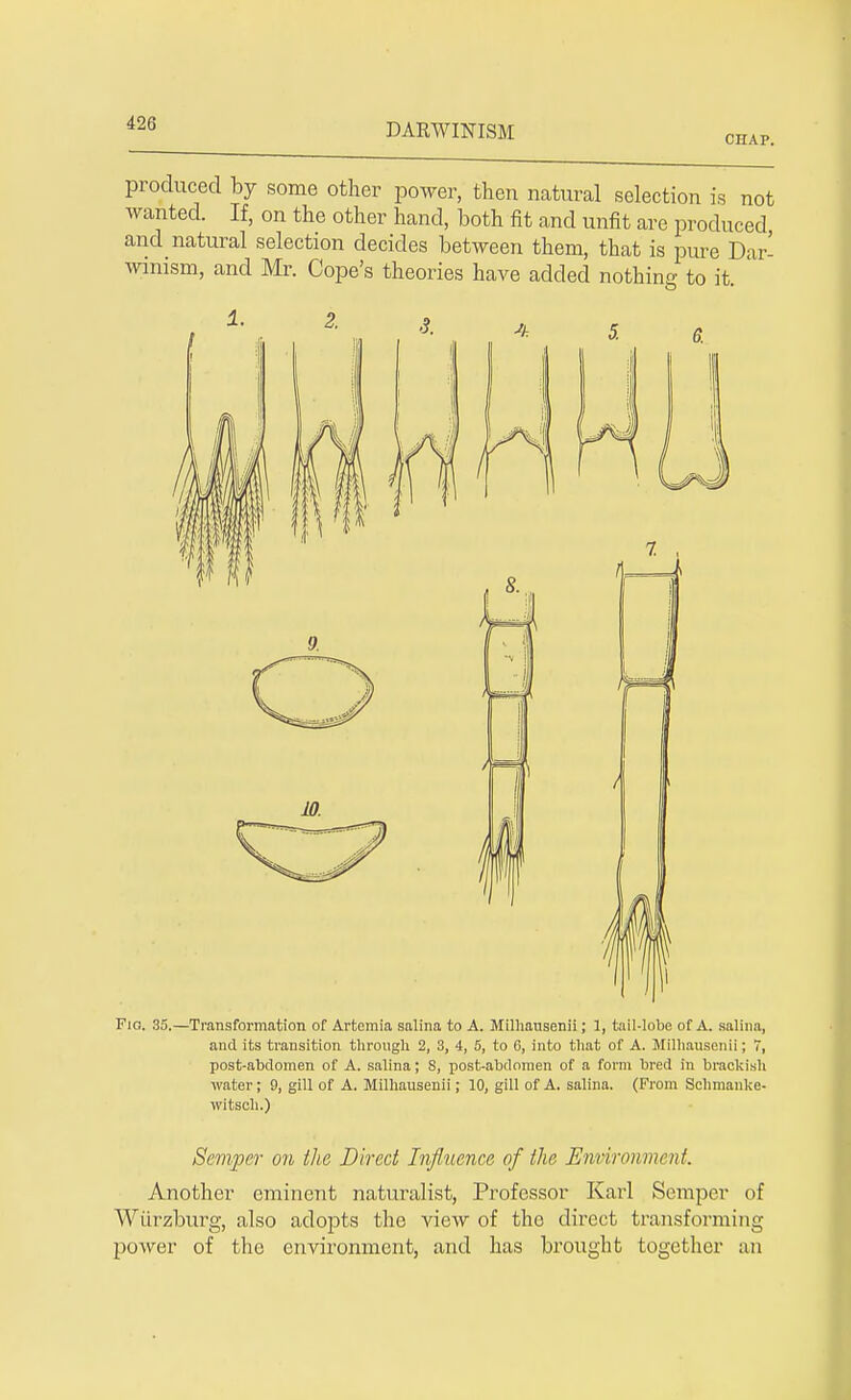 cnAP. produced by some other power, then natural selection is not wanted. If, on the other hand, both fit and unfit are produced and natural selection decides between them, that is pure Dar- winism, and Mr. Cope's theories have added nothing to it Fia. 35.—Transformation of Artemia salina to A. Milhausenii; 1, tail-lobe of A. salina, and its transition through 2, 3, 4, 5, to 6, into that of A. Milhausenii; 7, post-abdomen of A. salina; S, post-abdomen of a form bred in brackish water; 9, gill of A. Milhausenii; 10, gill of A. salina. (From Schmanke- witsch.) Semper on the Direct Influence of the Environment Another eminent naturalist, Professor Karl Semper of Wurzburg, also adopts the view of the direct transforming power of the environment, and has brought together an