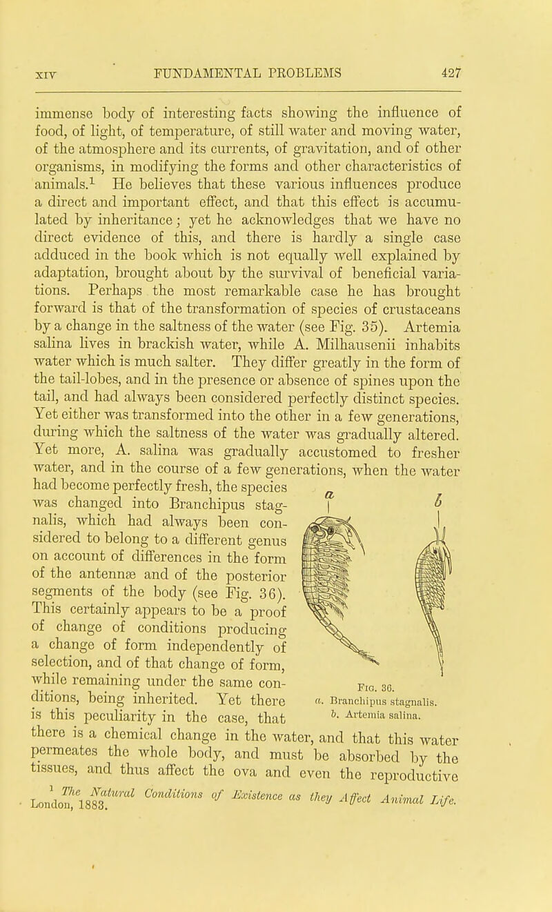 immense body of interesting facts showing the influence of food, of light, of temperature, of still water and moving water, of the atmosphere and its currents, of gravitation, and of other organisms, in modifying the forms and other characteristics of animals.1 He believes that these various influences produce a direct and important effect, and that this effect is accumu- lated by inheritance; yet he acknowledges that we have no direct evidence of this, and there is hardly a single case adduced in the book which is not equally well explained by adaptation, brought about by the survival of beneficial varia- tions. Perhaps the most remarkable case he has brought forward is that of the transformation of species of crustaceans by a change in the saltness of the water (see Fig. 35). Artemia salina lives in brackish water, while A. Milhausenii inhabits water which is much Salter. They differ greatly in the form of the tail-lobes, and in the presence or absence of spines upon the tail, and had always been considered perfectly distinct species. Yet either was transformed into the other in a few generations, during which the saltness of the water was gradually altered. Yet more, A. salina was gradually accustomed to fresher water, and in the course of a few generations, when the water had become perfectly fresh, the species was changed into Branchipus stag- nalis, which had always been con- sidered to belong to a different genus on account of differences in the form of the antennse and of the posterior segments of the body (see Fig. 36). This certainly appears to be a proof of change of conditions producing a change of form independently of selection, and of that change of form, while remaining under the same con- ditions, being inherited. Yet there is this peculiarity in the case, that there is a chemical change in the water, and that this water permeates the whole body, and must be absorbed by the tissues, and thus affect the ova and even the reproductive LomlonflsSf'^ ComlUionS °f as they Affect Animal Life. Fig. 30. a. Branchipus stagnalls. b. Artemia salina.