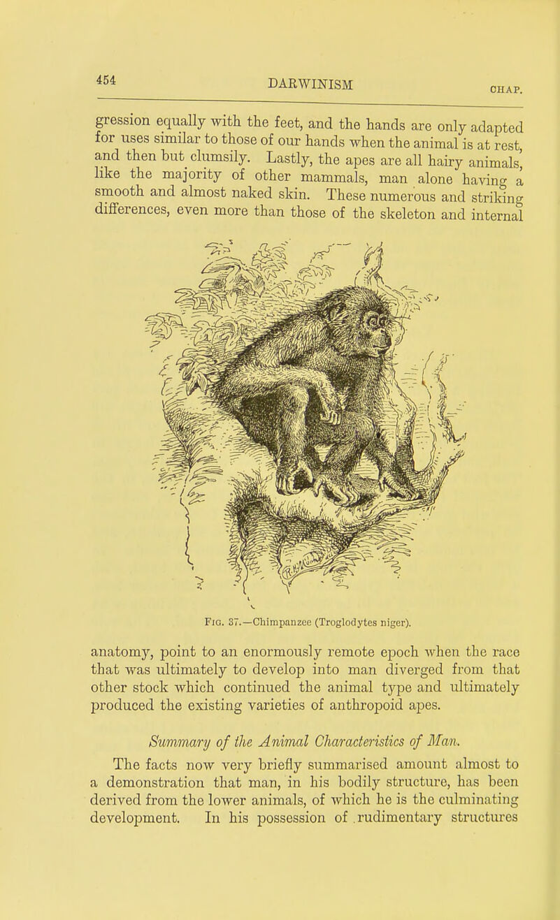 chap. gression equally with the feet, and the hands are only adapted for uses similar to those of our hands when the animal is at rest and then but clumsily. Lastly, the apes are all hairy animals' like the majority of other mammals, man alone having a smooth and almost naked skin. These numerous and striking differences, even more than those of the skeleton and internal Fig. 37.—Chimpanzee (Troglodytes niger). anatomy, point to an enormously remote epoch when the race that was ultimately to develop into man diverged from that other stock which continued the animal type and ultimately produced the existing varieties of anthropoid apes. Summary of the Animal Characteristics of Man. The facts now very briefly summarised amount almost to a demonstration that man, in his bodily structure, has been derived from the lower animals, of which he is the culminating development. In his possession of rudimentary structures