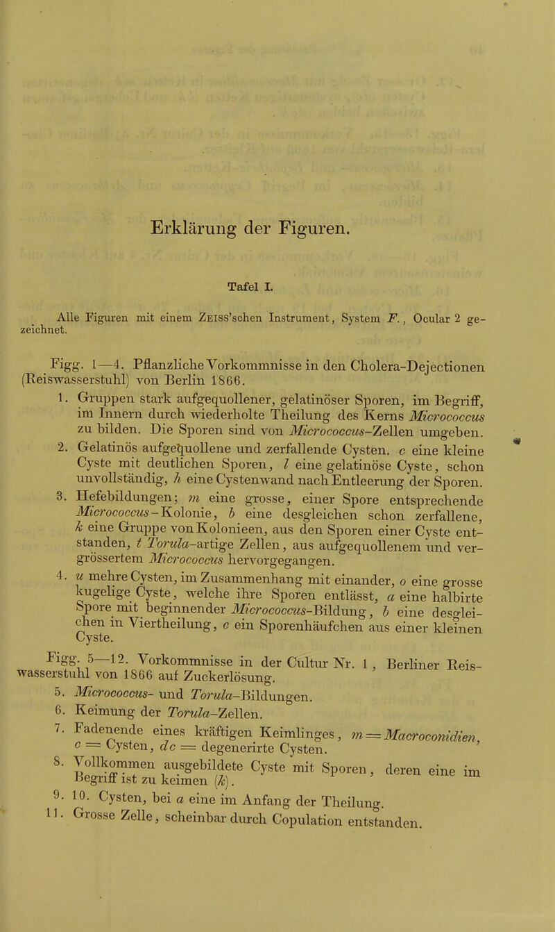 Erklärung der Figuren. Tafel I. Alle Figuren mit einem ZEiss'schen Instrument, System F., Ocular 2 ge- zeichnet. Figg. 1—4. Pflanzliche Vorkommnisse in den Cholera-Dejectionen (Reiswasserstuhl) von Berlin 1866. 1. Gruppen stark aufgequollener, gelatinöser Sporen, im BegriflP, im Innern durch wiederholte Theilung des Kerns Micrococcus zu bilden. Die Sporen sind von Micrococcus-ZoWeTo. umgehen. 2. Gelatinös aufgel^uollene und zerfallende Cysten, c eine kleine Cyste mit deutlichen Sporen, / eine gelatinöse Cyste, schon unvollständig, h eine Cystenwand nach Entleerung der Sporen. 3. Hefebildungen; ni eine grosse, einer Spore entsprechende Mio 'ococcMs —Kolonie, b eine desgleichen schon zerfallene k eine Gruppe vonKolonieen, aus den Sporen einer Cyste ent- standen, t Torula-artige Zellen, aus aufgequollenem und ver- grössertem Micrococms hervorgegangen. 4. u mehre Cysten, im Zusammenhang mit einander, o eine grosse kugehge Cyste, welche ihre Sporen entlässt, a eine halbirte Spore mit beginnender iJf2'crococcws-Bildung, h eine deso-lei- chen m Viertheilung, c ein Sporenhäufchen aus einer kleinen Cyste. Figg 5—12. Vorkommnisse in der Cultur Nr. 1, Berliner Reis- wasserstuhl von 1866 auf Zuckerlösung. 5. Micrococcm- und Torula-Bildungen. 6. Keimung der Tonda-ZeWen. 7. Fadenende eines kräftigen Keimlinges, 7n = Maa-ocomdien, c = Lysten, de = degenerirte Cysten. Begriff ist zu keimen (^•). 9. 10. Cysten, bei a eine im Anfang der Theilung. 11. Grosse Zelle, scheinbar durch Copulation entstanden. im