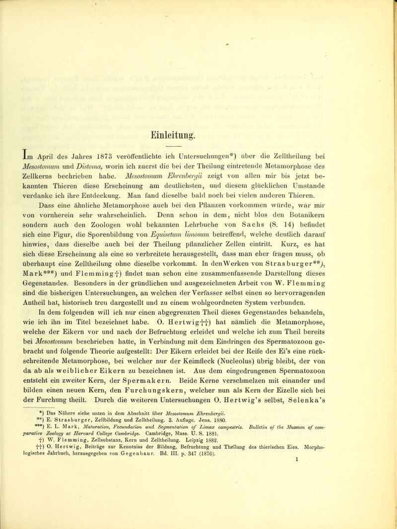 Einleitung. Im April des Jahres 1873 veröffentlichte ich Untersuchungen*) über die Zelltheilung bei Mesostonium und Distoma, worin ich zuerst die bei der Theilung eintretende Metamorphose des Zellkerns bechrieben habe. Mesostonium Ehrenhergii zeigt von allen mir bis jetzt be- kannten Thieren diese Erscheinung am deutlichsten, und diesem glücklichen Umstände verdanke ich ihre Entdeckung. Man fand dieselbe bald noch bei vielen anderen Thieren. Dass eine ähnliche Metamorphose auch bei den Pflanzen vorkommen würde, war mir von vornherein sehr wahrscheinlich. Denn schon in dem, nicht blos den Botanikern sondern auch den Zoologen wohl bekannten Lehrbuche von Sachs (S. 14) befindet sich eine Figur, die Sporenbildung von Equisetmn limosum betreffend, welche deutlich darauf hinwies, dass dieselbe auch bei der Theilung pflanzlicher Zellen eintritt. Kurz, es hat sich diese Erscheinung als eine so verbreitete herausgestellt, dass man eher fragen muss, ob überhaupt eine Zelltheilung ohne dieselbe vorkommt. In denWerken von Stras burger**^, Mark***) und Flemmingf) findet man schon eine zusammenfassende Darstellung dieses Gegenstandes. Besonders in der gründlichen und ausgezeichneten Arbeit von W. Flemming sind die bisherigen Untersuchungen, an welchen der Verfasser selbst einen so hervorragenden Antheil hat, historisch treu dargestellt und zu einem wohlgeordneten System verbunden. In dem folgenden will ich nur einen abgegrenzten Theil dieses Gegenstandes behandeln, wie ich ihn im Titel bezeichnet habe. 0. Hertwigff) hat nämlich die Metamorphose, welche der Eikern vor und nach der Befruchtung erleidet und welche ich zum Theil bereits bei Mesostonium beschrieben hatte, in Verbindung mit dem Eindringen des Spermatozoon ge- bracht und folgende Theorie aufgestellt: Der Eikern erleidet bei der Reife des Ei's eine rück- schreitende Metamorphose, bei welcher nur der Keimfleck (Nucleolus) übrig bleibt, der von da ab als weiblicher Eikern zu bezeichnen ist. Aus dem eingedrungenen Spermatozoon entsteht ein zweiter Kern, der Spermakern. Beide Kerne verschmelzen mit einander und bilden einen neuen Kern, den Furchungskern, welcher nun als Kern der Eizelle sich bei der Furchung theilt. Durch die weiteren Untersuchungen 0. Hertwig's selbst, Selenka's *) Das Nähere siehe unten in dem Abschnitt über Mesostomum Ehrenhergii. **) E. Strasburger, Zellbildung und Zelltheilung. 3. Auflage. Jena. 1880. ***) E. L. Mark, llaturation, Fecundation and Segmentation of Limax campestris. Bulletin of the Museum of com- parative Zoology at Harvard College Cambridge. Cambridge, iMass. U. S. 1881. f) W. Flemming, Zellsubstanz, Kern und Zelltheilung. Leipzig 1882. •j-j-) O. Hertwig, Beiträge zur Kenntniss der Bildung, Befruchtung und Theilung des thierischen Eies. Morpho- logisches Jahrbuch, herausgegeben von G egenbau r. Bd. III. p. 347 (1876).