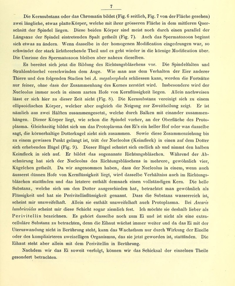 Die Kernsubstanz odei' das Chromatin bildet (Fig. 6 seitlich, Fig. 7 von der Fläche gesehen) zwei längliche, etwas platte Körper, welche mit ihrer grösseren Fläche in dem mittleren Quer- schnitt der Spindel liegen. Diese beiden Körper sind meist noch durch einen parallel der Längsaxe der Spindel eintretenden Spalt getheilt (Fig. 7). Auch das Spermatozoon beginnt sich etwas zu ändern. Wenn dasselbe in der homogenen Modification eingedrungen war, so schwindet der stark lichtbrechende Theil und es geht wieder in die körnige Modification über. Die Umrisse des Spermatozoon bleiben aber nahezu dieselben. Es bereitet sich jetzt die Bildung des Richtungsbläschens vor. Die Spindelfalten und Strahlenbüschel verschwinden dem Auge. Wie man aus dem Verhalten der Eier anderer Thiere und den folgenden Stadien bei A. megalocephala schliessen kann, werden die Fortsätze nur feiner, ohne dass der Zusammenhang des Kernes zerstört wird. Insbesondere wird der Nucleolus immer noch in einem zarten Hofe von Kernflüssigkeit liegen. Allein nachweisen lässt er sich hier zu dieser Zeit nicht (Fig. 8). Die Kernsubstanz vereinigt sich zu einem ellipsoidischen Körper, welcher aber zugleich die Neigung zur Zweitheilung zeigt. Er ist nämlich aus zwei Hälften zusammengesetzt, welche durch Balken mit einander zusammen- hängen. Dieser Körper liegt, wie schon die Spindel vorher, an der Oberfläche des Proto- plasma. Gleichzeitig bildet sich um das Protoplasma des Ei's ein heller Hof oder was dasselbe sagt, die körnerhaltige Dotterkugel zieht sich zusammen. Sowie diese Zusammenziehung bis zu einem gewissen Punkt gelangt ist, tritt der Nucleolus (Keimfleck) in einen auf dem Dotter sich erhebenden Hügel (Fig. 9). Dieser Hügel schnürt sich endlich ab und nimmt den halben Keimfleck in sich auf. Er bildet das sogenannte Richtungsbläschen. Während der Ab- schnürung hat sich der Nucleolus des Richtungsbläschens in mehrere, gewöhnlich vier, Kügelchen getheilt. Da wir angenommen haben, dass der Nucleolus in einem, wenn auch äusserst dünnen Hofe von Kernflüssigkeit liegt, wird dasselbe Verhältniss auch im Richtungs- bläschen stattfinden und das letztere enthält demnach einen vollständigen Kern. Die helle Substanz, welche sich um den Dotter ausgeschieden hat, betrachtet man gewöhnlich als Flüssigkeit und hat sie Perivitellinflüssigkeit genannt. Dass die Substanz wasserreich ist, scheint mir unzweifelhaft. Allein sie enthält unzweifelhaft auch Protoplasma. Bei Ascaris lumbricoides scheint mir diese Schicht sogar ziemlich fest. Ich möchte sie deshalb lieber als Perivitellin bezeichnen. Es gehört dasselbe noch zum Ei und ist nicht als eine extra- celluläre Substanz zu betrachten, denn die Eihaut wächst immer weiter und da das Ei mit der Uteruswandung nicht in Berührung steht, kann das Wachsthum nur durch Wirkung der Eizelle oder des komplizirteren zweizeiligen Organismus, das sie jetzt geworden ist, stattfinden. Die Eihaut steht aber allein mit dem Perivitellin in Berührung. Nachdem wir das Ei soweit verfolgt, können wir das Schicksal der einzelnen Theile gesondert betrachten.