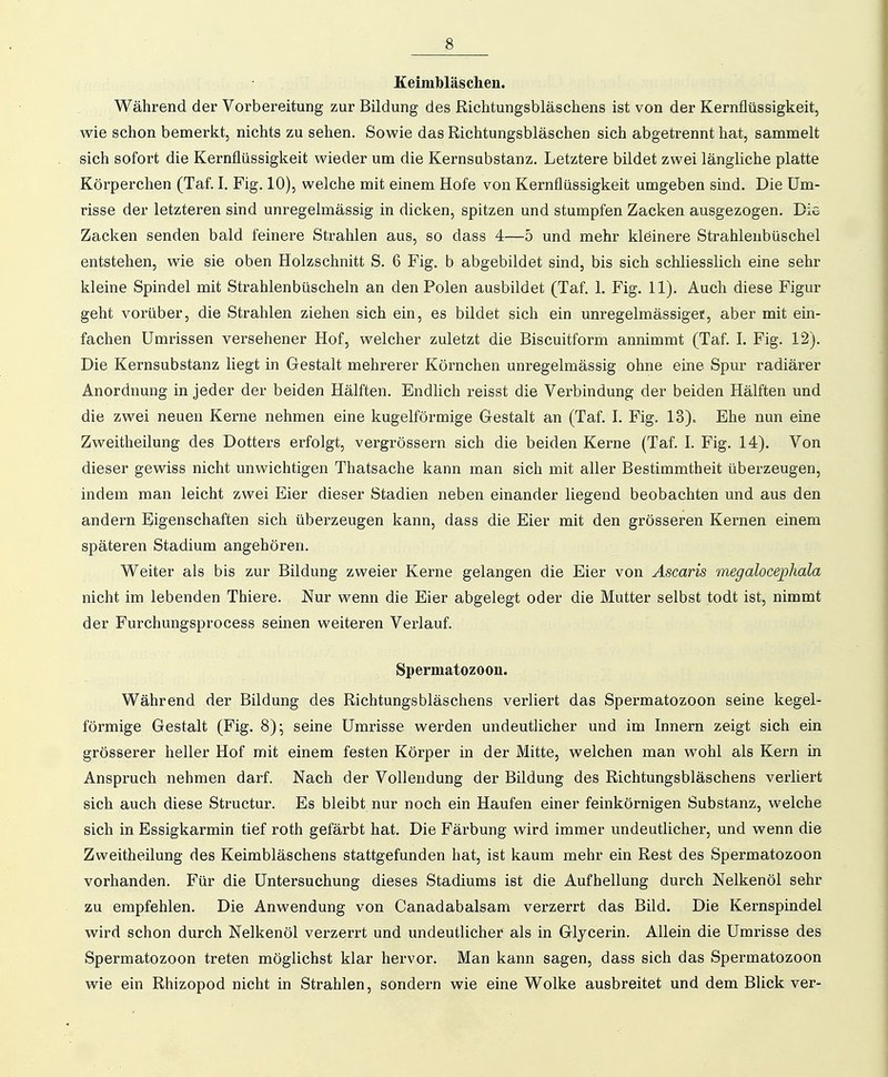 Keimbläschen. Während der Vorbereitung zur Bildung des Richtungsbläschens ist von der Kernflüssigkeit, wie schon bemerkt, nichts zu sehen. Sowie das Richtungsbläschen sich abgetrennt hat, sammelt sich sofort die Kernflüssigkeit wieder um die Kernsubstanz. Letztere bildet zwei längliche platte Körperchen (Taf. I. Fig. 10), welche mit einem Hofe von Kernflüssigkeit umgeben sind. Die Um- risse der letzteren sind unregelmässig in dicken, spitzen und stumpfen Zacken ausgezogen. Dig Zacken senden bald feinere Strahlen aus, so dass 4—5 und mehr kleinere Strahlenbüschel entstehen, wie sie oben Holzschnitt S. 6 Fig. b abgebildet sind, bis sich schliesslich eine sehr kleine Spindel mit Strahlenbüscheln an den Polen ausbildet (Taf. 1. Fig. 11). Auch diese Figur geht vorüber, die Strahlen ziehen sich ein, es bildet sich ein unregelmässigec, aber mit ein- fachen Umrissen versehener Hof, welcher zuletzt die Biscuitform annimmt (Taf. L Fig. 12). Die Kernsubstanz liegt in Gestalt mehrerer Körnchen unregelmässig ohne eine Spur radiärer Anordnung in jeder der beiden Hälften. Endlich reisst die Verbindung der beiden Hälften und die zwei neuen Kerne nehmen eine kugelförmige Gestalt an (Taf. I. Fig. 13). Ehe nun eine Zweitheilung des Dotters erfolgt, vergrössern sich die beiden Kerne (Taf. I. Fig. 14). Von dieser gewiss nicht unwichtigen Thatsache kann man sich mit aller Bestimmtheit überzeugen, indem man leicht zwei Eier dieser Stadien neben einander liegend beobachten und aus den andern Eigenschaften sich übeTzeugen kann, dass die Eier mit den grösseren Kernen einem späteren Stadium angehören. Weiter als bis zur Bildung zweier Kerne gelangen die Eier von Äscaris megalocephala nicht im lebenden Thiere. Nur wenn die Eier abgelegt oder die Mutter selbst todt ist, nimmt der Furchungsprocess seinen weiteren Verlauf. Spermatozoon. Während der Bildung des Richtungsbläschens verliert das Spermatozoon seine kegel- förmige Gestalt (Fig. 8); seine Umrisse werden undeutlicher und im Innern zeigt sich ein grösserer heller Hof mit einem festen Körper in der Mitte, welchen man wohl als Kern in Anspruch nehmen darf. Nach der Vollendung der Bildung des Richtungsbläschens verliert sich auch diese Structur. Es bleibt nur noch ein Haufen einer feinkörnigen Substanz, welche sich in Essigkarmin tief roth gefärbt hat. Die Färbung wird immer undeutlicher, und wenn die Zweitheilung des Keimbläschens stattgefunden hat, ist kaum mehr ein Rest des Spermatozoon vorhanden. Für die Untersuchung dieses Stadiums ist die Aufhellung durch Nelkenöl sehr zu empfehlen. Die Anwendung von Canadabalsam verzerrt das Bild. Die Kernspindel wird schon durch Nelkenöl verzerrt und undeutlicher als in Glycerin. Allein die Umrisse des Spermatozoon treten möglichst klar hervor. Man kann sagen, dass sich das Spermatozoon wie ein Rhizopod nicht in Strahlen, sondern wie eine Wolke ausbreitet und dem Blick ver-