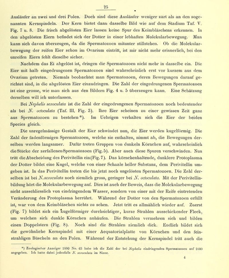 Ausläufer an zwei und drei Polen. Doch sind diese Ausläufer weniger zart als an den soge- nannten Kernspindeln. Der Kern bietet dann dasselbe Bild wie auf dem Stadium Taf. V. Fig. 7 u. 8. Die frisch abgelösten Eier lassen keine Spur des Keimbläschens erkeimen. In den abgelösten Eiern befindet sich der Dotter in einer lebhaften Molekularbewegung. Man kann sich davon überzeugen, da die Spermatozoen mitunter stillstehen. Ob die Molekular- bewegung der reifen Eier schon im Ovarium eintritt, ist mir nicht mehr erinnerlich, bei den unreifen Eiern fehlt dieselbe sicher. Nachdem das Ei abgelöst ist, dringen die Spermatozoen nicht mehr in dasselbe ein. Die Eier mit halb eingedrungenen Spermatozoen sind wahrscheinlich erst vor kurzem aus dem Ovarium getreten. Niemals beobachtet man Spermatozoen, deren Bewegungen darauf ge- richtet sind, in die abgelösten Eier einzudringen. Die Zahl der eingedrungenen Spermatozoen ist eine grosse, wie man sich aus den Bildern Fig. 4 u. 5 überzeugen kann. Eine Schätzung derselben will ich unterlassen. Bei Nephelis sexoculata ist die Zahl der eingedrungenen Spermatozoen noch bedeutender als bei N. octoculaia (Taf. III. Fig. 3). Ihre Eier scheinen zu einer gewissen Zeit ganz aus Spermatozoen zu bestehen''). Im Uebrigen verhalten sich die Eier der beiden Speeles gleich. Die unregelmässige Gestalt der Eier schwindet nun, die Eier werden kugelförmig. Die Zahl der fadenförmigen Spermatozoen, welche sie enthalten, nimmt ab, die Bewegungen der- selben werden langsamer. Dafür treten Gruppen von dunkeln Körnchen auf, wahrscheinlich die Stücke der zerfallenen Spermatozoen (Fig. 5). Aber auch diese Spuren verschwinden. Nun tritt die Abscheidung des Perivitellin ein (Fig. 7). Das körnchenhaltende, dunklere Protoplasma der Dotter bildet eine Kugel, welche von einer Schaale heller Substanz, dem Perivitellin um- geben ist. In das Perivitellin treten die bis jetzt noch ungelösten Spermatozoen. Die Zahl der- selben ist hei N. sexoculata noch ziemlich gross, geringer bei N. octoculata. Mit der Perivitellin- bildung hört die Molekularbewegung auf. Dies ist auch der Beweis, dass die Molekularbewegung nicht ausschliesslich von eindringendem Wasser, sondern von einer mit der Reife eintretenden Veränderung des Protoplasma herrührt. Während der Dotter von den Spermatozoen erfüllt ist, war von dem Keimbläschen nichts zu sehen. Jetzt tritt es allmählich wieder auf. Zuerst (Fig. 7) bildet sich ein kugelförmiger durchsichtiger, kurze Strahlen ausschickender Fleck, um welchen sich dunkle Körnchen anhäufen. Die Strahlen vermehren sich und bilden einen Doppelstern (Fig. 8j. Noch sind die Strahlen ziemlich dick. Endlich bildet sich die gewöhnliche Kernspindel mit einer Aequatorialplatte von Körnchen und den fein- strahligen Büscheln an den Polen. Während der Entstehung der Kernspindel tritt auch die *) Zoologischer Anzeiger 1880 No. 63 liabe ich die Zahl der bei Nephelis eindringenden Spermatozoen auf 1000 angegeben. Ich hatte dabei jedenfalls N. sexoculata im Sinne. 4