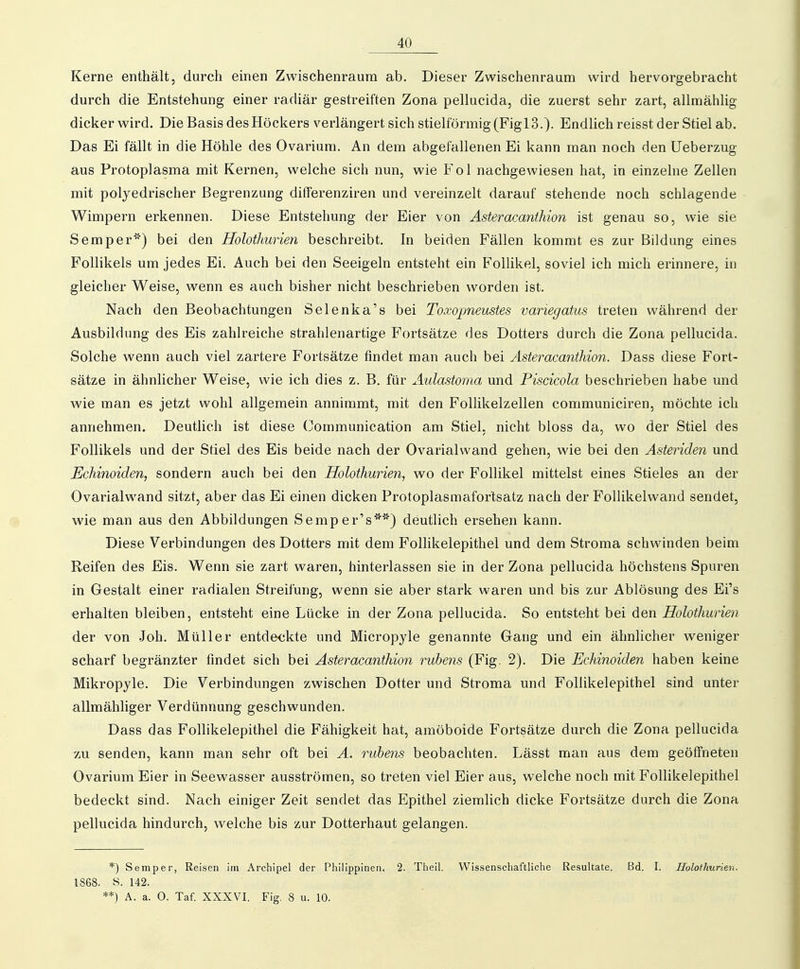 Kerne enthält, durch einen Zwischenraum ab. Dieser Zwischenraum wird hervorgebracht durch die Entstehung einer radiär gestreiften Zona pellucida, die zuerst sehr zart, allmähUg dicker wird. Die Basis des Höckers verlängert sich stielförmig (Figl3.). Endlich reisst der Stiel ab. Das Ei fällt in die Höhle des Ovarium. An dem abgefallenen Ei kann man noch den üeberzug aus Protoplasma mit Kernen, welche sich nun, wie Fol nachgewiesen hat, in einzelne Zellen mit polyedrischer Begrenzung difFerenziren und vereinzelt darauf stehende noch schlagende Wimpern erkennen. Diese Entstehung der Eier von Asteracanthion ist genau so, wie sie Semper') bei den Holothurien beschreibt. In beiden Fällen kommt es zur Bildung eines Follikels um jedes Ei. Auch bei den Seeigeln entsteht ein Follikel, soviel ich mich erinnere, in gleicher Weise, wenn es auch bisher nicht beschrieben worden ist. Nach den Beobachtungen Selenka's bei Toxopneustes variegatus treten während der Ausbildung des Eis zahlreiche strahlenartige Fortsätze des Dotters durch die Zona pellucida. Solche wenn auch viel zartere Fortsätze findet man auch bei Äster acanthion. Dass diese Fort- sätze in ähnlicher Weise, wie ich dies z. B. für Aidastoma und Piscicola beschrieben habe und wie man es jetzt wohl allgemein annimmt, mit den FoUikelzellen communiciren, möchte ich annehmen. Deutlich ist diese (^omraunication am Stiel, nicht bloss da, wo der Stiel des Follikels und der Stiel des Eis beide nach der Ovarialwand gehen, wie bei den Asteriden und Echifioiden, sondern auch bei den Holothurien, wo der Follikel mittelst eines Stieles an der Ovarialwand sitzt, aber das Ei einen dicken Protoplasmafortsatz nach der Follikelwand sendet, wie man aus den Abbildungen Semper's'^') deutlich ersehen kann. Diese Verbindungen des Dotters mit dem FolHkeiepithel und dem Stroma schwinden beim Reifen des Eis. Wenn sie zart waren, hinterlassen sie in der Zona pellucida höchstens Spuren in Gestalt einer radialen Streifung, wenn sie aber stark waren und bis zur Ablösung des Ei's erhalten bleiben, entsteht eine Lücke in der Zona pellucida. So entsteht bei den Holothurien der von Joh. Müller entdeckte und Micropyle genannte Gang und ein ähnlicher weniger scharf begränzter findet sich bei Ästeracanthion rubens (Fig. 2). Die Echinoiden haben keine Mikropyle. Die Verbindungen zwischen Dotter und Stroma und Follikelepithel sind unter allmähliger Verdünnung geschwunden. Dass das Follikelepithel die Fähigkeit hat, amöboide Fortsätze durch die Zona pellucida zu senden, kann man sehr oft bei A. ruhens beobachten. Lässt man aus dem geöffneten Ovarium Eier in Seewasser ausströmen, so treten viel Eier aus, welche noch mit Follikelepithel bedeckt sind. Nach einiger Zeit sendet das Epithel ziemlich dicke Fortsätze durch die Zona pellucida hindurch, welche bis zur Dotterhaut gelangen. *) Semper, Reisen im Archipel der Philippinen. 2. Theil. Wissensehaftliche Resultate. Bd. I. Holothurien. 1868. S. 142. **) A. a. 0. Taf. XXXVI. Fig. 8 u. 10.