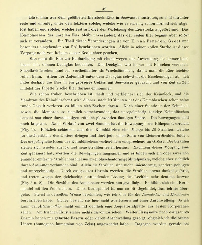 Lässt man aus dem geöffneten Eierstock Eier in Seewasser austreten, so sind darunter reife und unreife, unter den letztern solche, welche wie es scheint, schon normal sich abge- löst haben und solche, welche erst in Folge der Verletzung des Eierstocks abgelöst sind. Das Keimbläschen der unreifen Eier bleibt unverändert, das der reifen Eier beginnt aber sofort sich zu verändern. Ein Theil dieser Veränderungen ist von E. van Beneden, Greef und besonders eingehender von Fol beschrieben worden. Allein in seiner vollen Stärke ist dieser Vorgang noch von keinem dieser Beobachter gesehen. Man muss die Eier zur Beobachtung mit einem wegen der Anwendung der Immersions- linsen sehr dünnen Deckglas bedecken. Das Deckglas war immer mit Füsschen versehen. Siegellackfüsschen fand ich vortheilhafter als Wachsfüsschen, damit man die Eier leichter rollen kann. Allein der Aufenthalt unter dem Deckglas schwächt die Erscheinungen ab. Ich habe deshalb die Eier in ein grösseres Gefäss mit Seewasser gebracht und von Zeit zu Zeit mittelst der Pipette frische Eier daraus entnommen. Wie schon früher beschrieben ist, theilt und verkleinert sich der Keimfleck, und die Membran des Keimbläschens wird dünner, nach 20 Minuten hat das Keimbläschen schon seine runde Gestalt verloren, es bilden sich Zacken daran. Nach einer Stunde ist der Keimfleck sowie die Membran so ziemlich verschwunden, das unregelmässig zackige Keimbläschen besteht aus einer durchsichtigen röthlich glänzenden flüssigen Masse. Die Bewegungen sind noch langsam. Nach Verlauf von zwei Stunden hat die Bewegung ihren Höhepunkt erreicht (Fig. 1). Plötzlich schiessen aus dem Keimbläschen eine Menge bis 20 Strahlen, welche an die Oberfläche des Dotters dringen und dort jede einen Stern von kleinern Strahlen bilden. Der ursprüngliche Raum des Keimbläschens verliert dem entsprechend an Grösse. Die Strahlen ziehen sich wieder zurück und neue Strahlen treten heraus. Nachdem dieser Vorgang eine Zeit gedauert hat, werden die Bewegungen langsamer und es bilden sich ein oder zwei von einander entfernte Strahlenbüschel um zwei bläschenförmige Mittelpunkte, welche aber sichtlich durch Ausläufer verbunden sind. Allein die Strahlen sind nicht linienförraig, sondern gebogen und unregelmässig. Durch essigsaures Carmin werden die Strahlen etwas dunkel gefärbt, und treten wegen der gleichzeitig stattfindenden Lösung des Lecithin sehr deutlich hervor (Fig. 3 u. 9). Die Strahlen des Amphiaster werden nun gradlinig. Es bildet sich eine Kern- spindel mit den Polbüscheln. Diese Kernspindel ist nun so oft abgebildet, dass ich sie über- gehe. Sie ist in derselben Weise beschaffen, wie ich dies für die Nematoden und Hirudineen beschrieben habe. Sicher besteht sie hier nicht aus Fasern mit einer Anschwellung. Ja ich kann bei Asteracanthion nicht einmal deutlich eine Aequatorialplatte aus festen Körperchen sehen. Am frischen Ei ist sicher nichts davon zu sehen. Weder Essigsäure noch essigsaures Carmin haben mir gefärbte Fasern oder deren Anschwellung gezeigt, obgleich ich die besten Linsen (homogene Immersion von Zeiss) angewendet habe. Dagegen wurden gerade bei