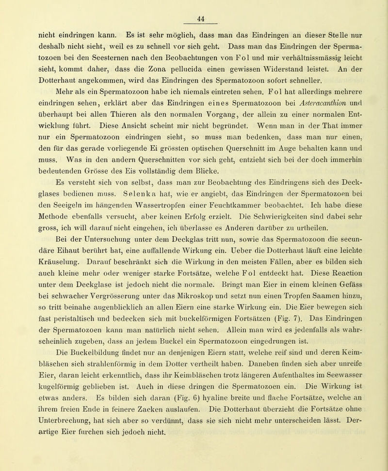 nicht eindringen kann. Es ist sehr möglich, dass man das Eindringen an dieser Stelle nur deshalb nicht sieht, weil es zu schnell vor sich geht. Dass man das Eindringen der Sperma- tozoen bei den Seesternen nach den Beobachtungen von Fol und mir verhältnissmässig leicht sieht, kommt daher, dass die Zona pellucida einen gewissen Widerstand leistet. An der Dotterhaut angekommen, wird das Eindringen des Spermatozoon sofort schneller. Mehr als ein Spermatozoon habe ich niemals eintreten sehen, Fol hat allerdings mehrere eindringen sehen, erklärt aber das Eindringen eines Spermatozoon bei Asteracanthion und überhaupt bei allen Thieren als den normalen Vorgang, der allein zu einer normalen Ent- wicklung führt. Diese Ansicht scheint mir nicht begründet. Wenn man in der That immer nur ein Spermatozoon eindringen sieht, so muss man bedenken, dass man nur einen, den für das gerade vorliegende Ei grössten optischen Querschnitt im Auge behalten kann und muss. Was in den andern Querschnitten vor sich geht, entzieht sich bei der doch immerhin bedeutenden Grösse des Eis vollständig dem Blicke. Es versteht sich von selbst, dass man zur Beobachtung des Eindringens sich des Deck- glases bedienen muss. Selenka hat, wie er angiebt, das Eindringen der Spermatozoen bei den Seeigeln im hängenden Wassertropfen einer Feuchtkammer beobachtet. Ich habe diese Methode ebenfalls versucht, aber keinen Erfolg erzielt. Die Schwierigkeiten sind dabei sehr gross, ich will darauf nicht eingehen, ich überlasse es Anderen darüber zu urtheilen. Bei der Untersuchung unter dem Deckglas tritt nun, sowie das Spermatozoon die secun- däre Eihaut berührt hat, eine aulFallende Wirkung ein. lieber die Dotterhaut läuft eine leichte Kräuselung. Darauf beschränkt sich die Wirkung in den meisten Fällen, aber es bilden sich auch kleine mehr oder weniger starke Fortsätze, welche Fol entdeckt hat. Diese Reaction unter dem Deckglase ist jedoch nicht die normale. Bringt man Eier in einem kleinen Gefäss bei schwacher Vergrösserung unter das Mikroskop und setzt nun einen Tropfen Saamen hinzu, so tritt beinahe augenblicklich an allen Eiern eine starke Wirkung ein. Die Eier bewegen sich fast peristaltisch und bedecken sich mit buckeiförmigen Fortsätzen (Fig. 7). Das Eindringen der Spermatozoen kann man natürlich nicht sehen. Allein man wird es jedenfalls als wahr- scheinlich zugeben, dass an jedem Buckel ein Spermatozoon eingedrungen ist. Die Buckelbildung findet nur an denjenigen Eiern statt, welche reif sind und deren Keim- bläschen sich strahlenförmig in dem Dotter vertheilt haben. Daneben finden sich aber unreife Eier, daran leicht erkenntlich, dass ihr Keimbläschen trotz längeren Aufenthaltes im Seewasser kugelförmig geblieben ist. Auch in diese dringen die Spermatozoen ein. Die Wirkung ist etwas anders. Es bilden sich daran (Fig. 6) hyaline breite und flache Fortsätze, welche an ihrem freien Ende in feinere Zacken auslaufen. Die Dotterhaut überzieht die Fortsätze ohne Unterbrechung, hat sich aber so verdünnt, dass sie sich nicht mehr unterscheiden lässt. Der- artige Eier furchen sich jedoch nicht.