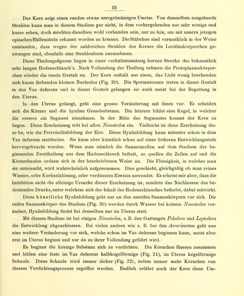 Der Kern zeigt einen runden etwas unregelmässigen ünariss. Von demselben ausgehende Strahlen kann man in diesem Stadium gar nicht, in dem vorhergehenden nur sehr wenige und kurze sehen, doch möchten dieselben wohl vorhanden sein, nur zu fein, um mit unsern jetzigen optischen Hülf'smitteln erkannt werden zu können. Die Stäbchen sind vermuthlich in der Weise entstanden, dass wegen der zahlreichen Strahlen des Kernes die Lecithinkörperchen ge- zwungen sind, ebenfalls eine Strahlenform anzunehmen. Diese Theilungsfiguren liegen in einer verhältnissmässig kurzen Strecke des bekanntlich sehr langen Hodenschlauch's. Nach Vollendung der Theilung nehmen die Protoplasmakörper- chen wieder die runde Gestalt an. Der Kern enthält nur einen, das Licht wenig brechenden sich kaum färbenden kleinen Nucleolus (Fig. 20). Die Spermatozoon treten in dieser Gestalt in das Vas deferens und in dieser Gestalt gelangen sie auch meist bei der Begattung in den Uterus. In den Uterus gelangt, geht eine grosse Veränderung mit ihnen vor. Es scheiden sich die Körner und die hyaline Grundsubstanz. Die letztere bildet eine Kugel, in welcher die erstem ein Segment einnehmen. In der Mitte des Segmentes kommt der Kern zu liegen. Diese Ei'scheinung tritt bei allen Nematoden ein. Vielleicht ist diese Erscheinung die- se be, wie die Perivitellinbildung der Eier. Diese Hyalinbildung kann mitunter schon in dem Vas deferens stattfinden. Sie kann aber künstlich schon auf einer früheren Entwicklungsstufe hervorgebracht werden. Wenn man nämlich die Saamenzellen auf dem Stadium der be- ginnenden Zweitheilung aus dem Hodenschlauch befreit, so quellen die Zellen auf und die Körnerhaufen ordnen sich in der beschriebenen Weise an. Die Flüssigkeit, in welcher man sie untersucht, wird wahrscheinlich aufgenommen. Dies geschieht, gleichgültig ob man reines Wasser, oder Kochsalzlösung, oder verdünntes Eiweiss anwendet. Es scheint mir aber, dass die Imbibition nicht die alleinige Ursache dieser Erscheinung ist, sondern das Nachlassen des be- deutenden Drucks, unter welchem sich der Inhalt des Hodenschlauches befindet, dabei mitwirkt. Diese künstliche Hyalinbildung geht nur an den unreifen Saamenkörpern vor sich. Die reifen Saamenkörper des Stadium (Fig. 20) werden durch Wasser bei keinem Nematoden ver- ändert, Hyalinbildung findet bei denselben nur im Uterus statt. Mit diesem Stadium ist bei einigen Nematoden^ z. B. den Gattungen Pelodera und Leptodera die Entwicklung abgeschlossen. Bei vielen andern wie z. B. bei den Ascaris'Aview geht nun eine weitere Veränderung vor sich, welche schon im Vas defei'ens beginnen kann, meist aber erst im Uterus beginnt und nur da zu ihrer Vollendung geführt wird. Es beginnt die körnige Substanz sich zu verdichten. Die Körnchen fliessen zusammen und bilden eine feste im Vas deferens halbkugelförmige (Fig. 21), im Uterus kegelförmige Schaale. Diese Schaale wird immer dicker (Fig. 22), indem immer mehr Körnchen von diesem Verdichtungsprocess ergriffen werden. Endlich erfährt auch der Kern diese Um-